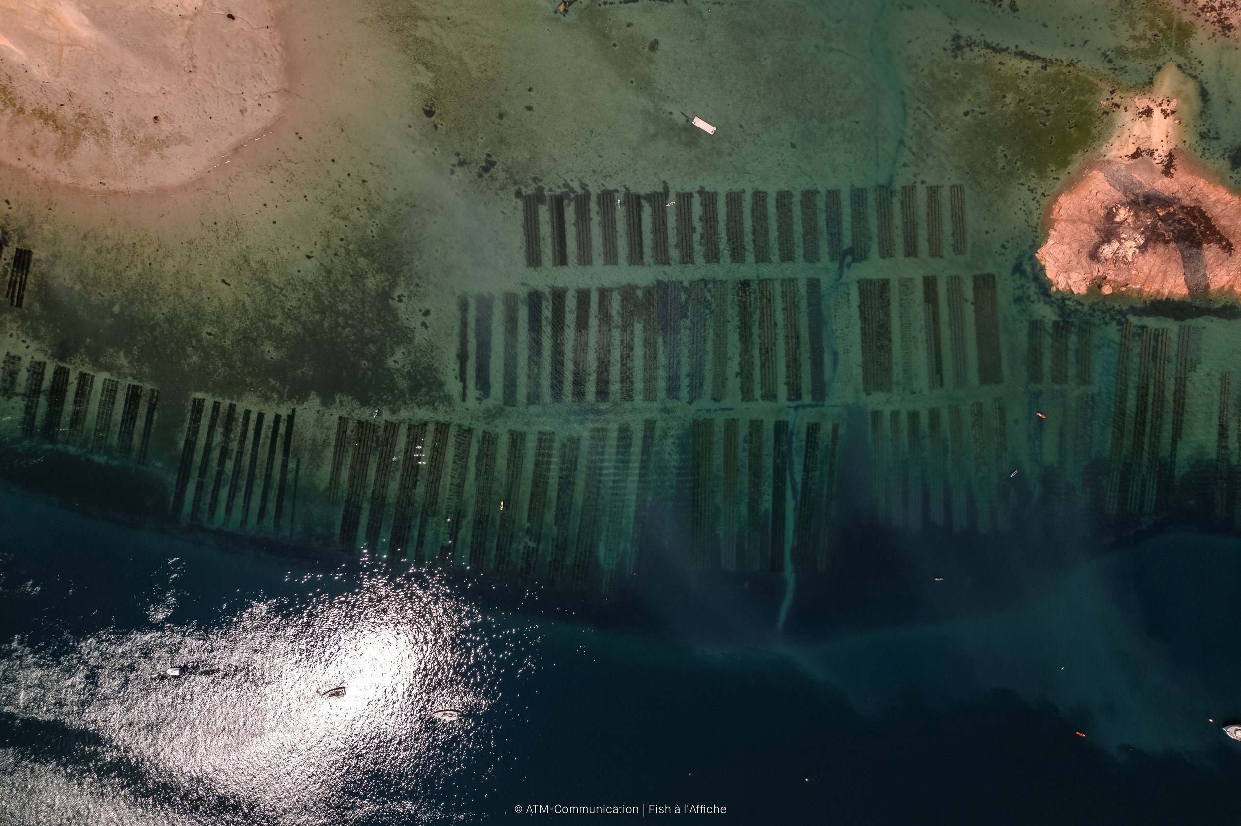 FISH À L'AFFICHE DRONE 1  (13 sur 19).jpg