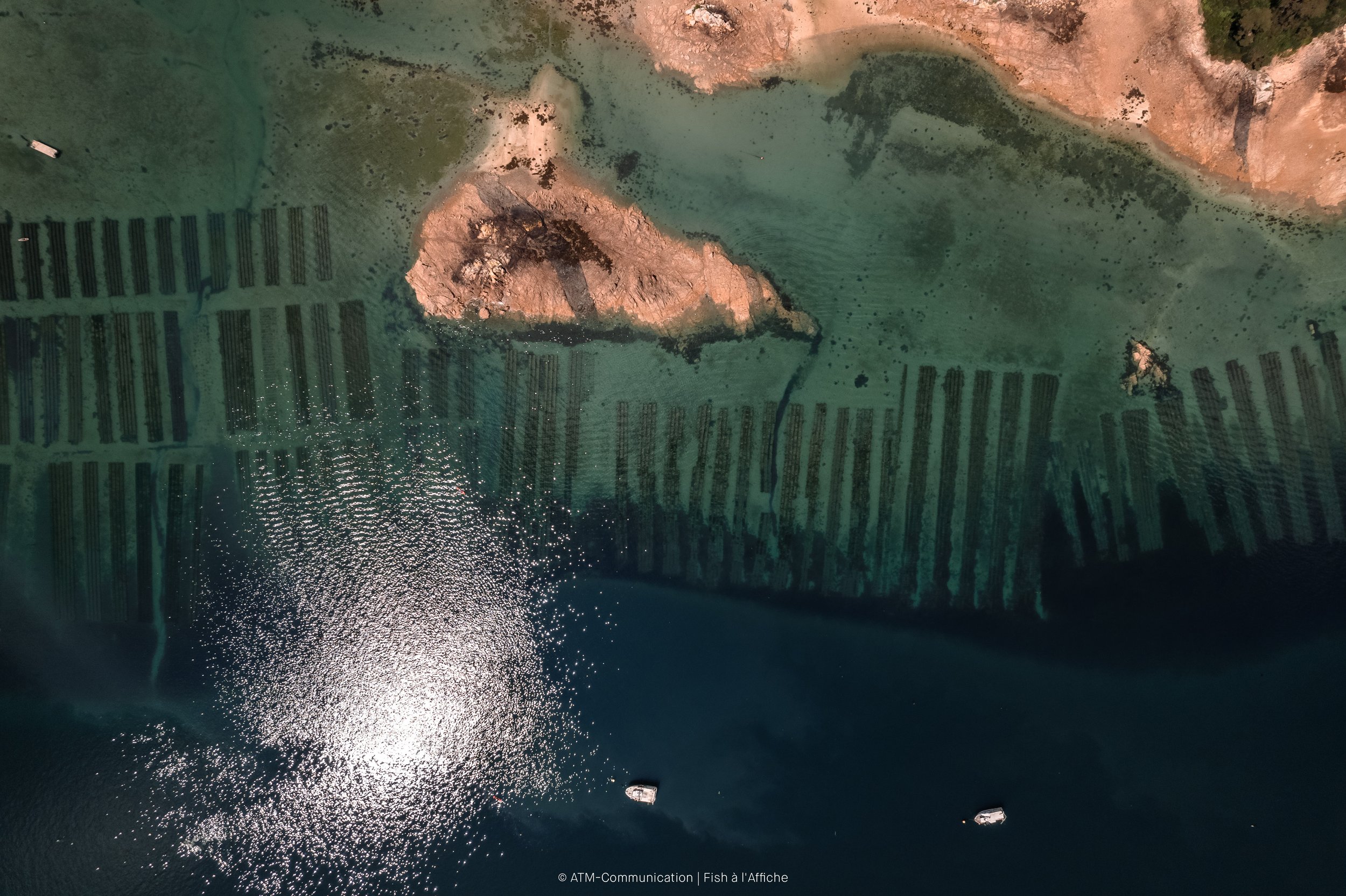 FISH À L'AFFICHE DRONE 1  (15 sur 19).jpg