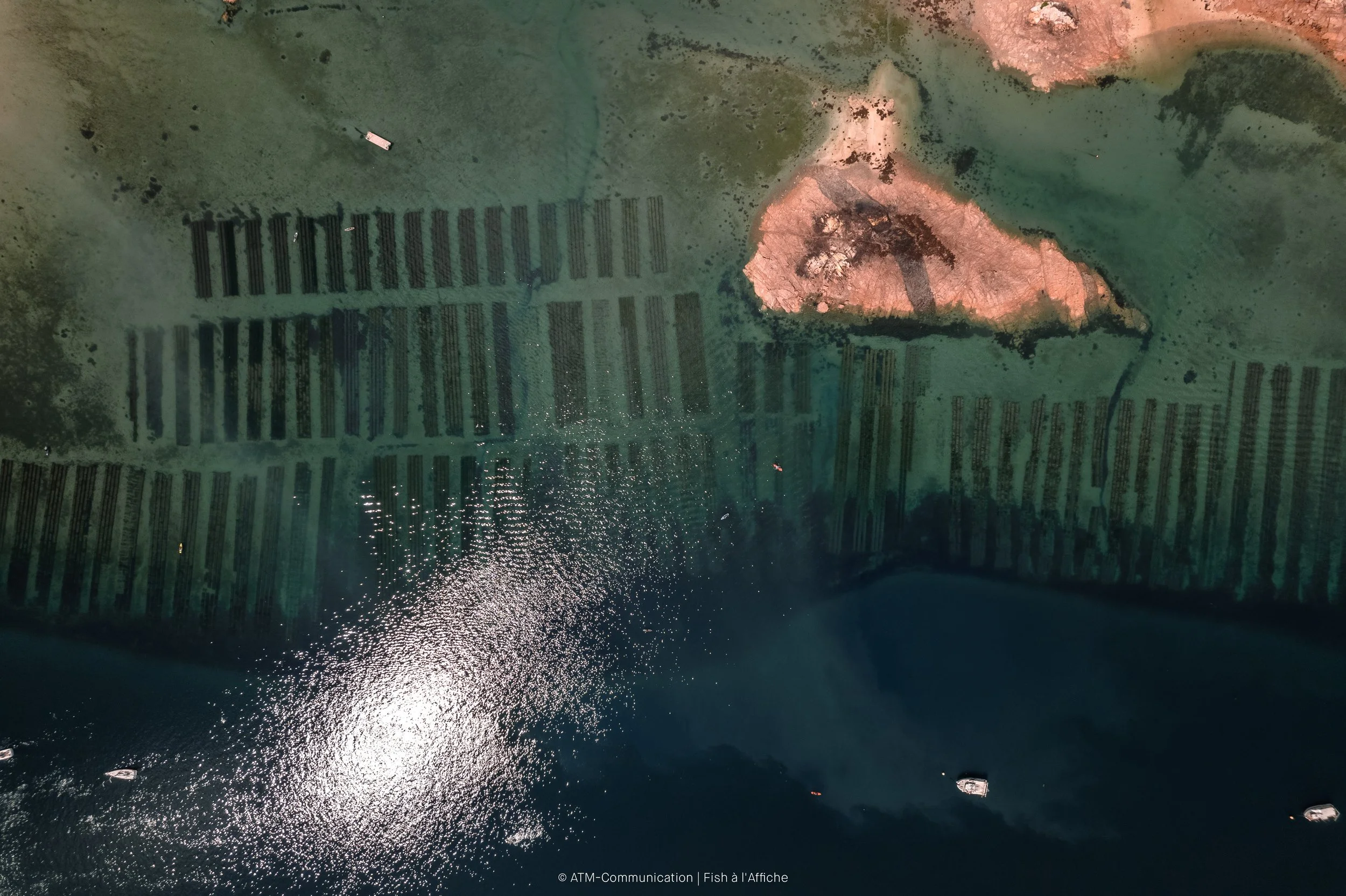 FISH À L'AFFICHE DRONE 1  (14 sur 19).jpg