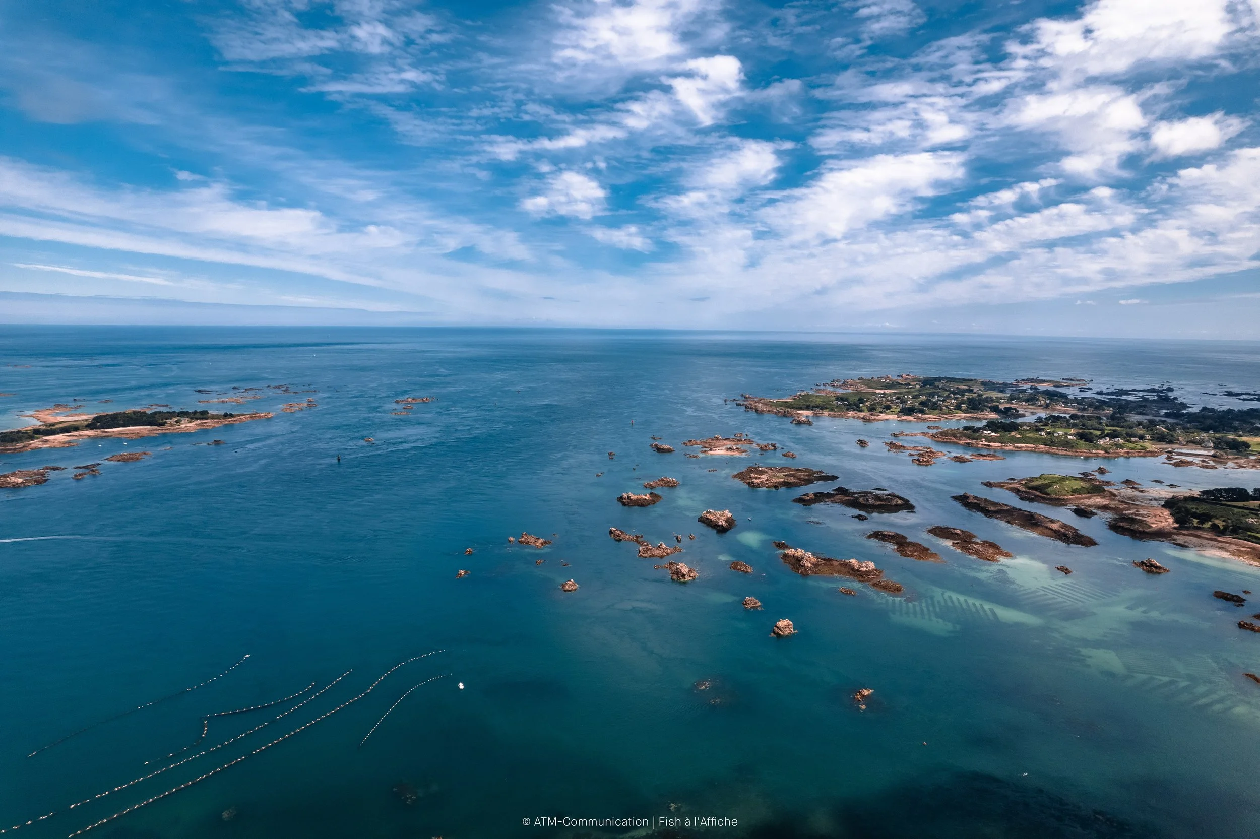 FISH À L'AFFICHE DRONE 1  (5 sur 19).jpg