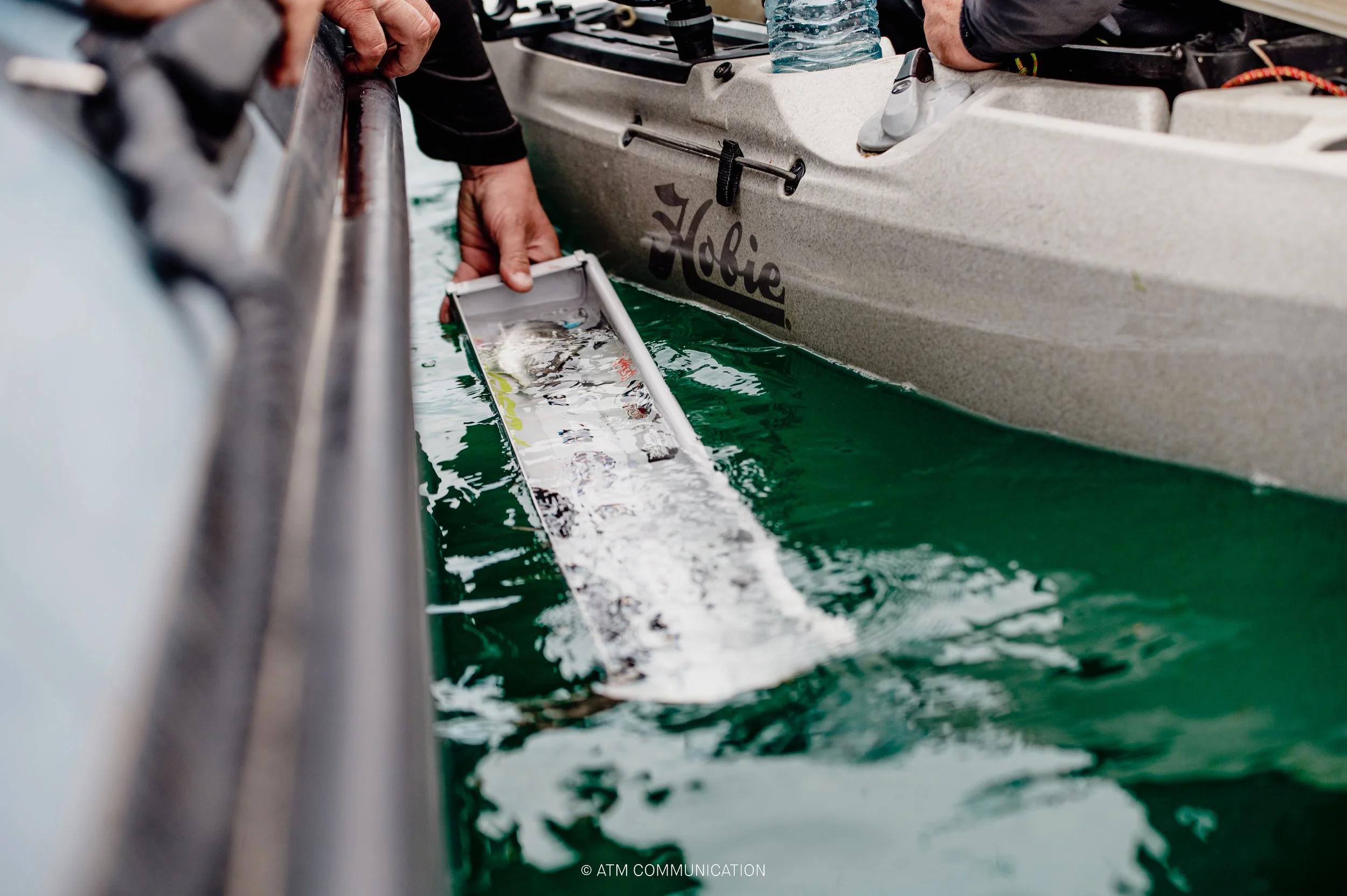 FISH A l'AFFICHE-78.jpg