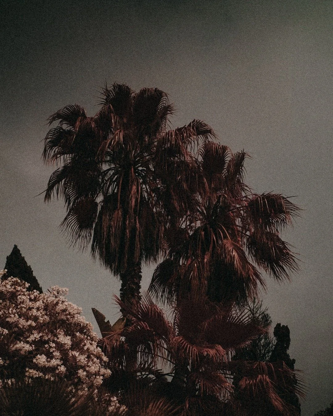 Sunlight and silence, our kind of symphony during winter.