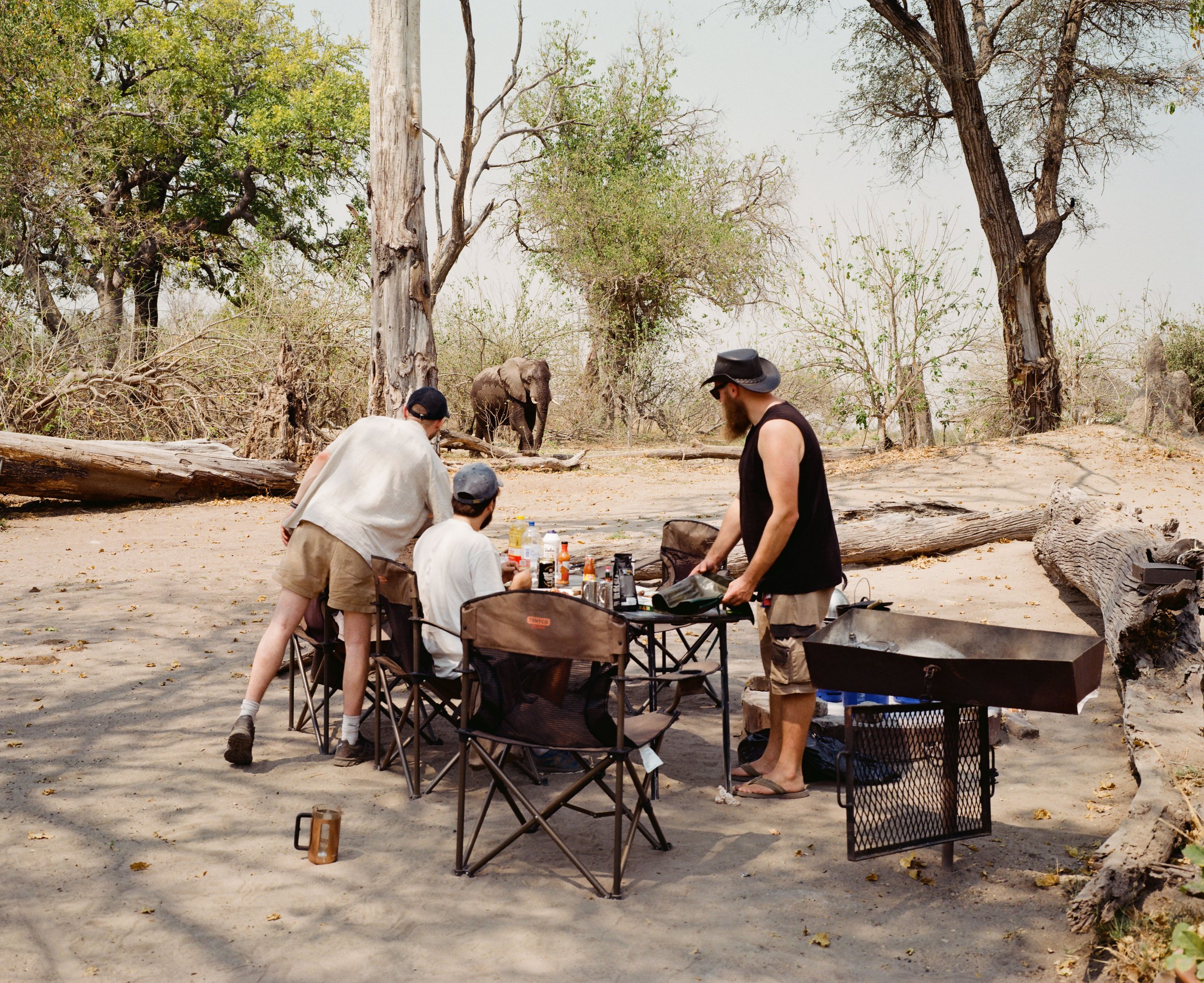 Alex, Cam, Sam and Zand in Botswana