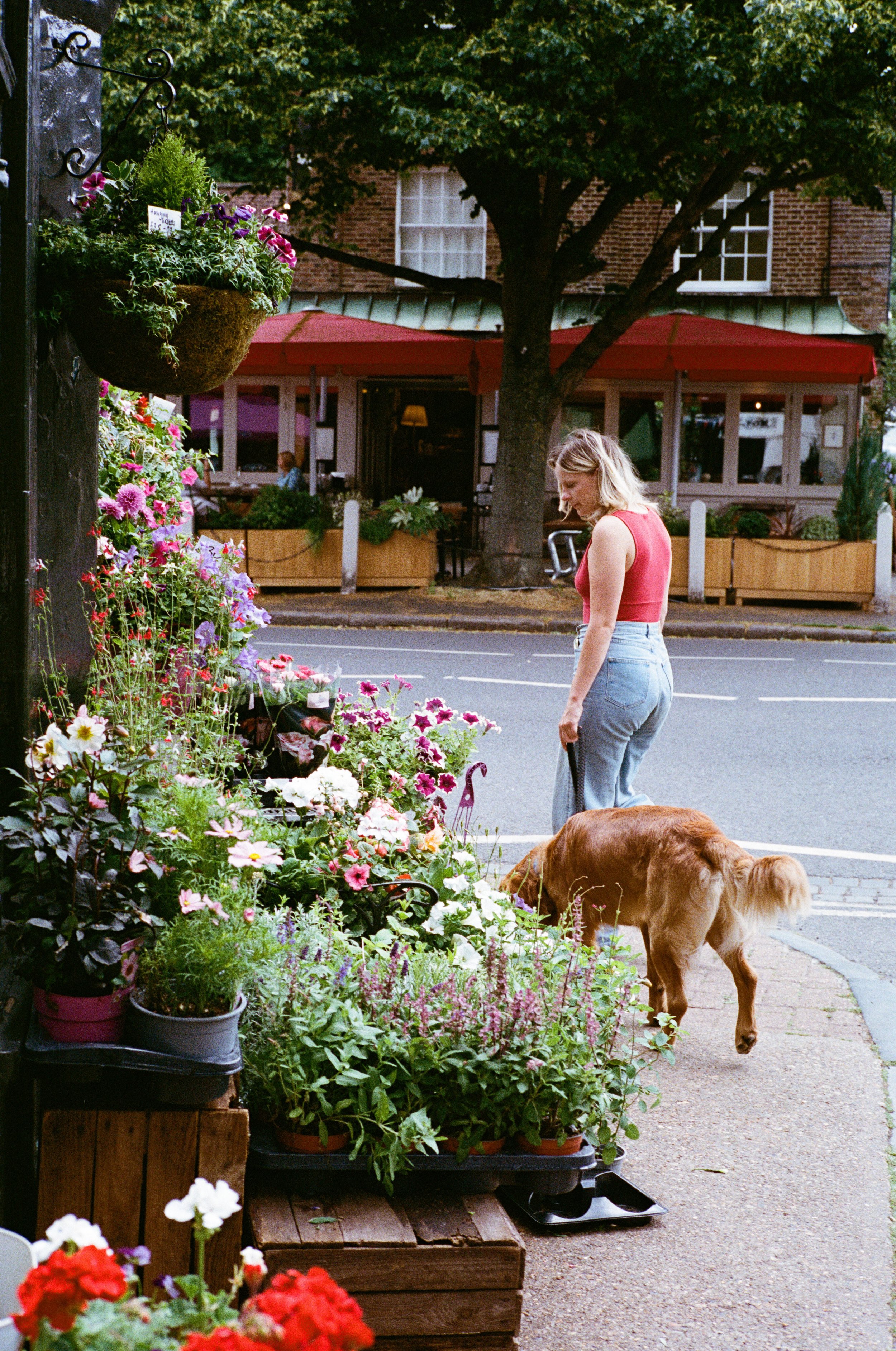 Lott in Dulwich