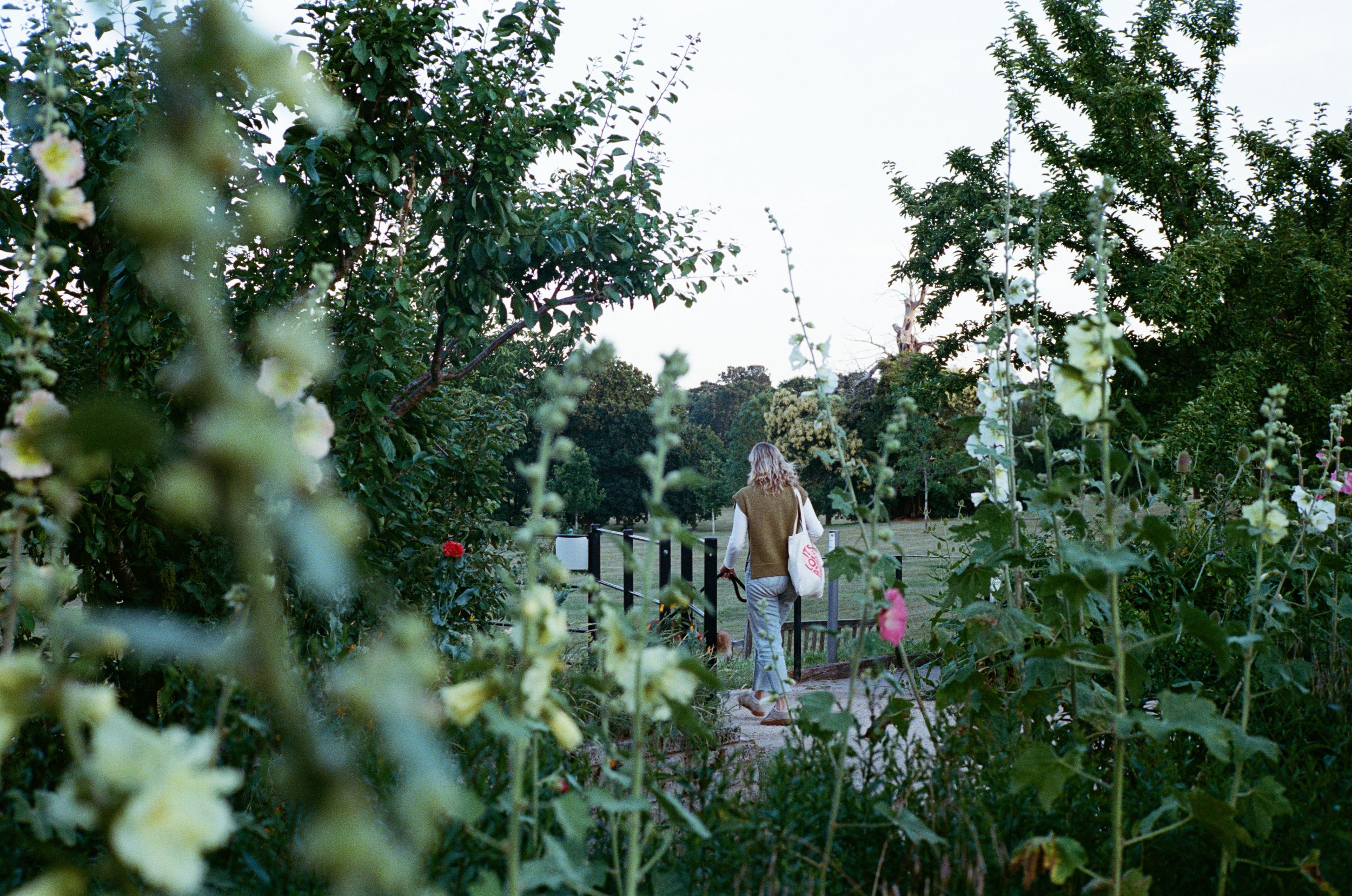 Lott in Ladywell