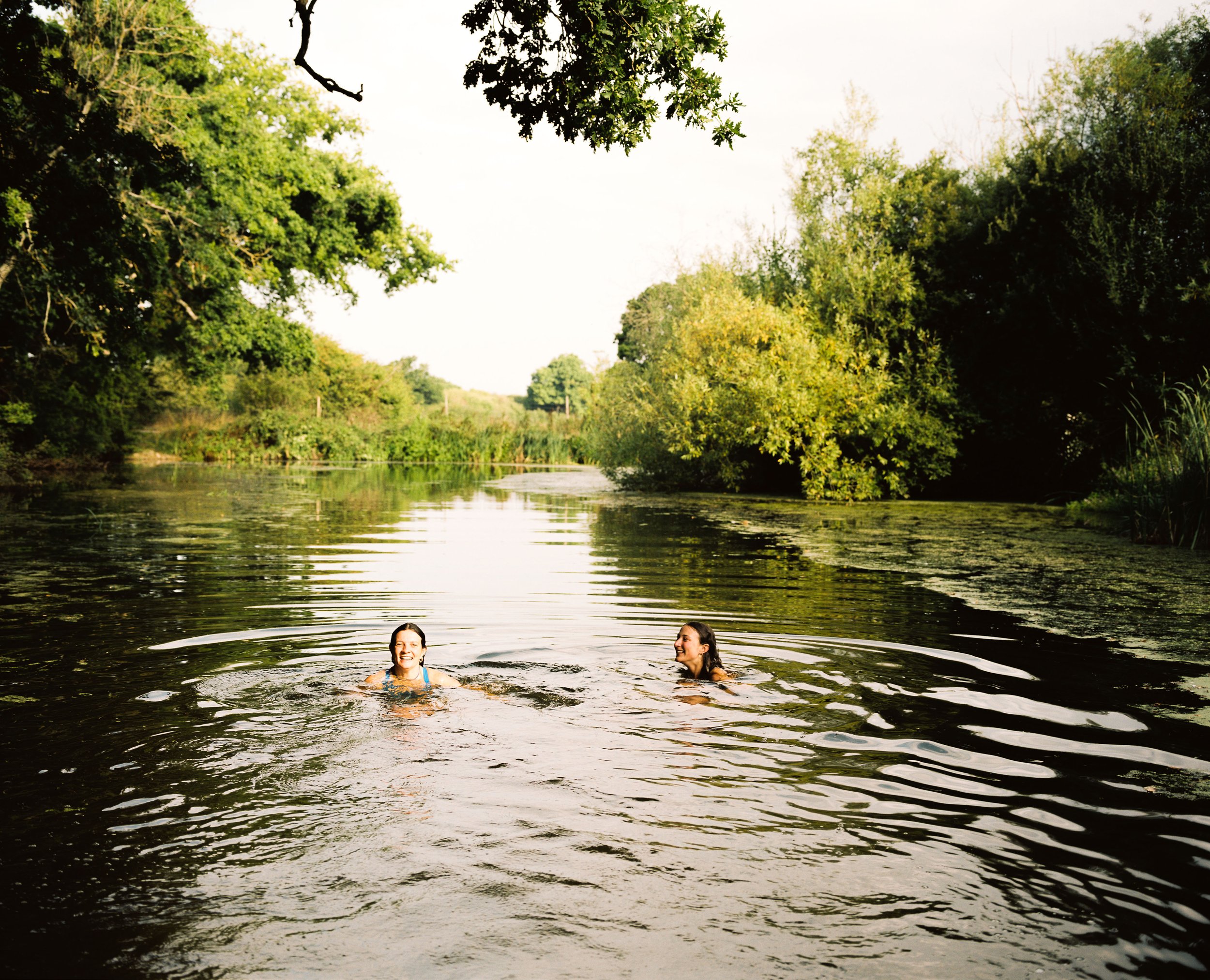 Dais and Eve at Knepp