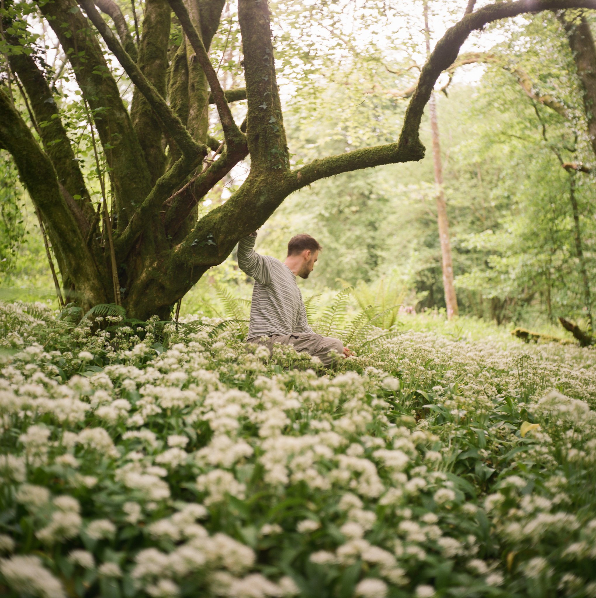 Sam rummaging in the Ashton Woods