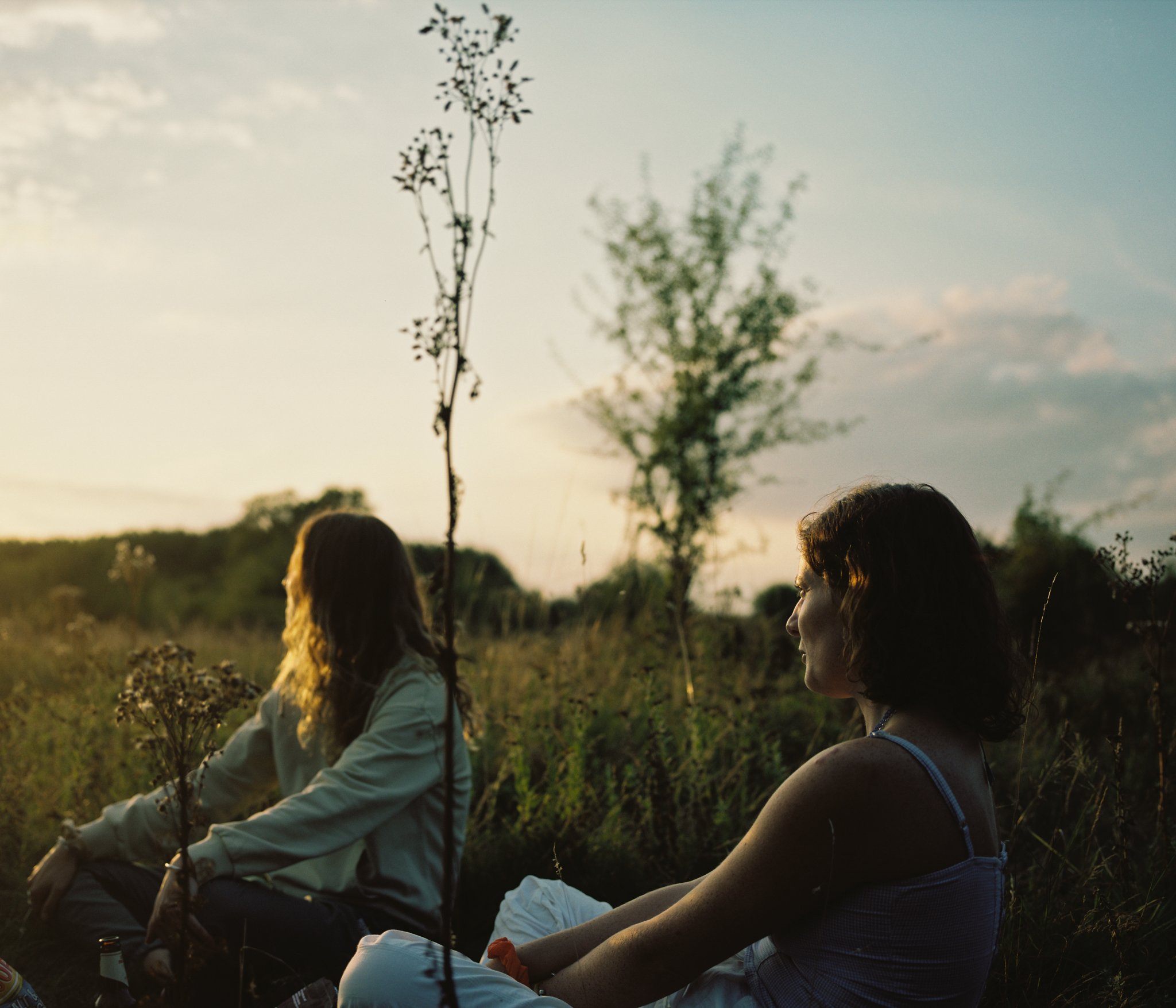 Daisy and Eve at Knepp