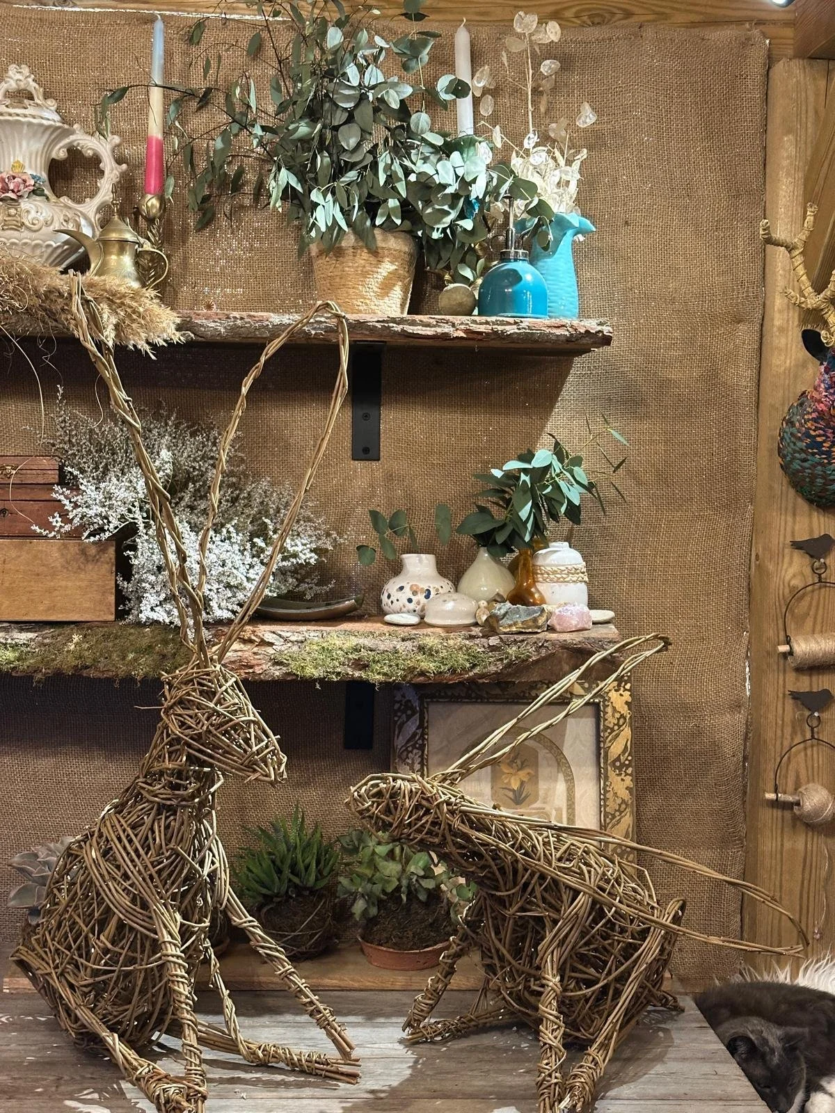 Make a Willow Hare - New for Easter 2026