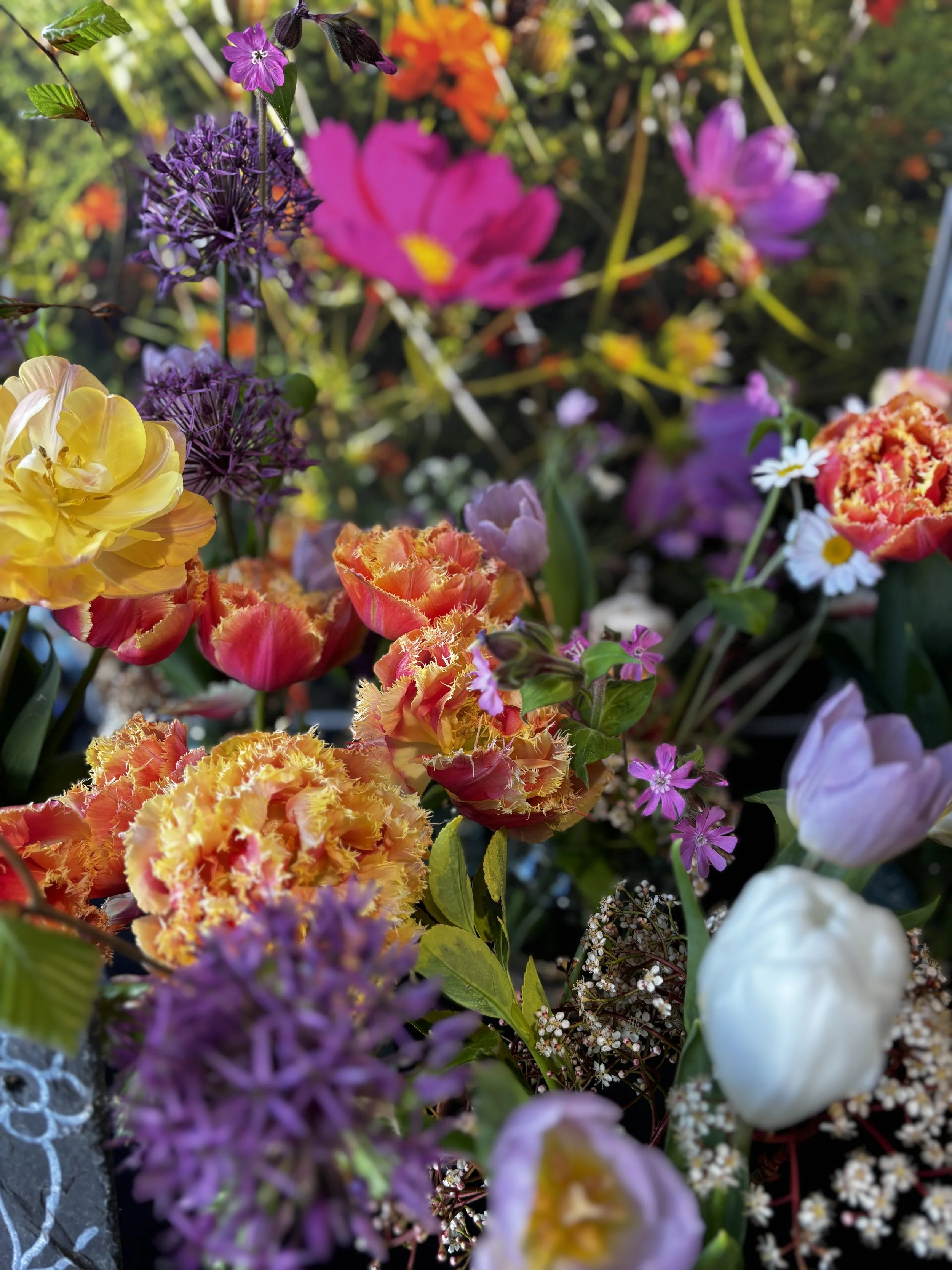 A vibrant assortment of colorful flowers including pink, yellow, orange, purple, and white blossoms, set outdoors with natural sunlight.