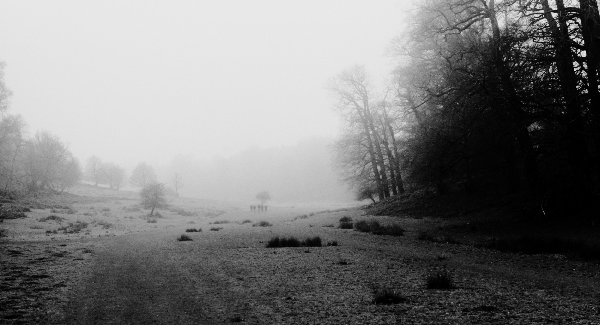 A black and white photo of a foggy, deserted landscape with barren trees and patches of grass, with a small group of people in the distance.