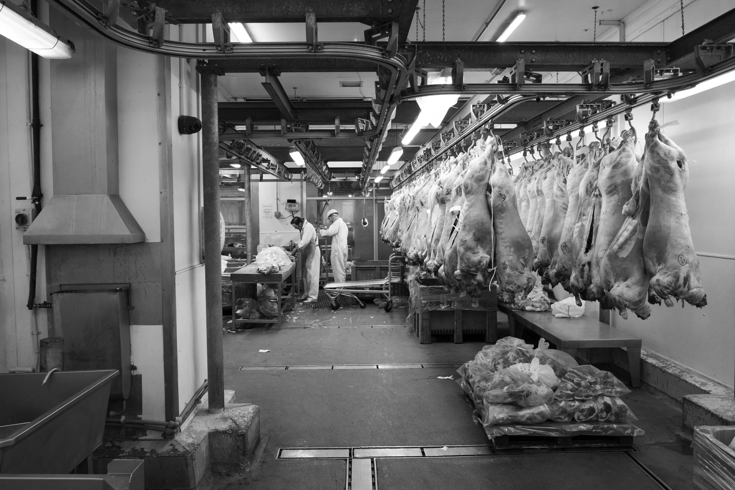 Smithfield - 11-25-21.jpg