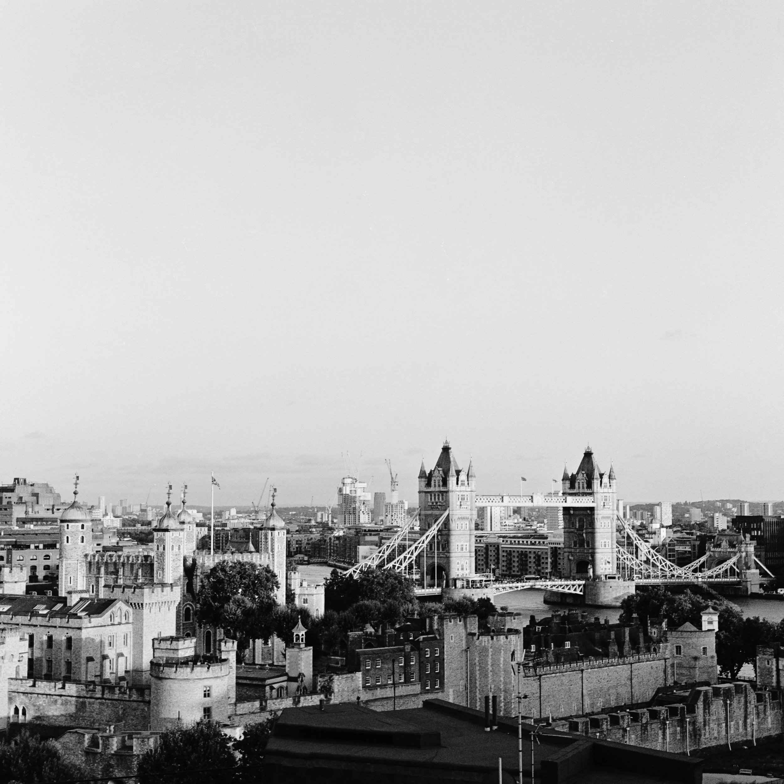 120 - Selects -52.jpg