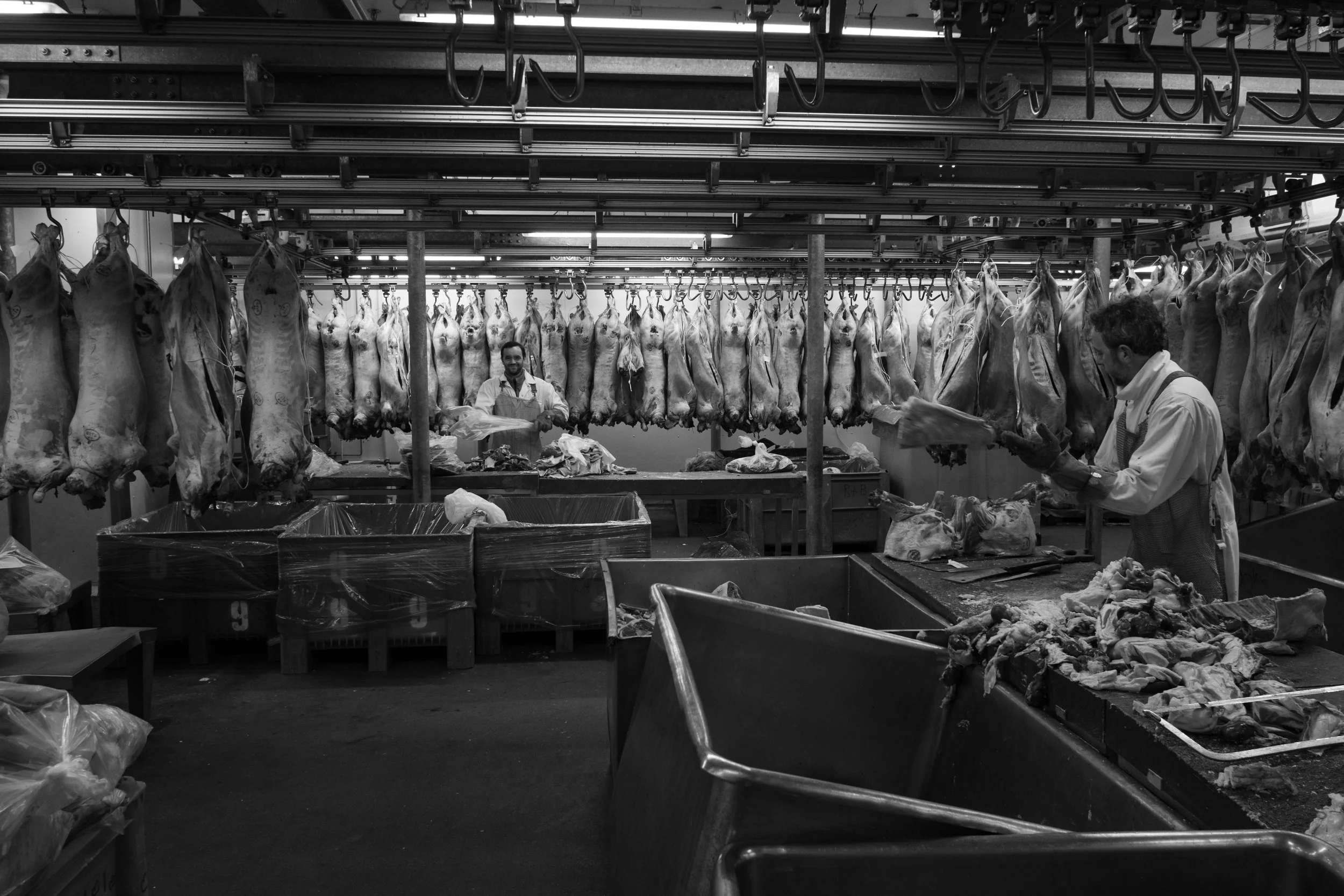 Smithfield - 11-25-14.jpg