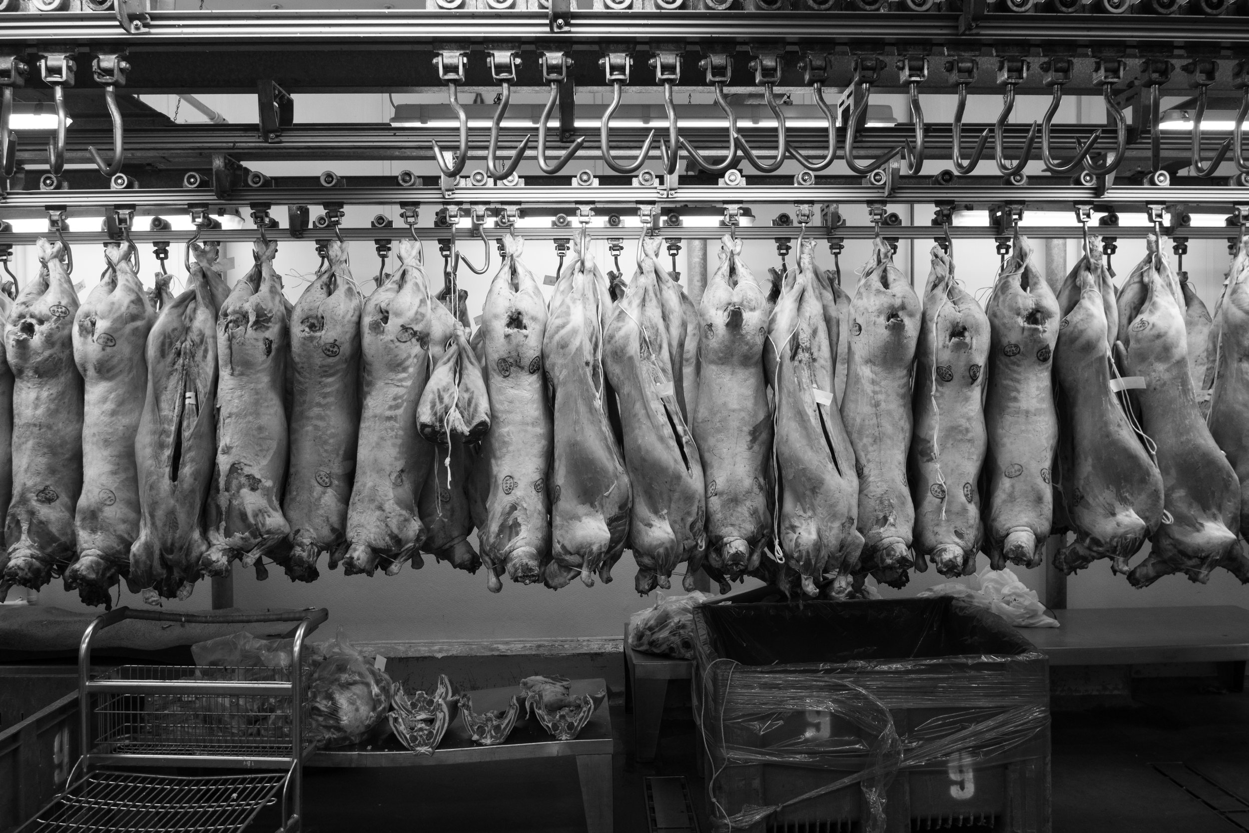 Smithfield - 11-25-17.jpg