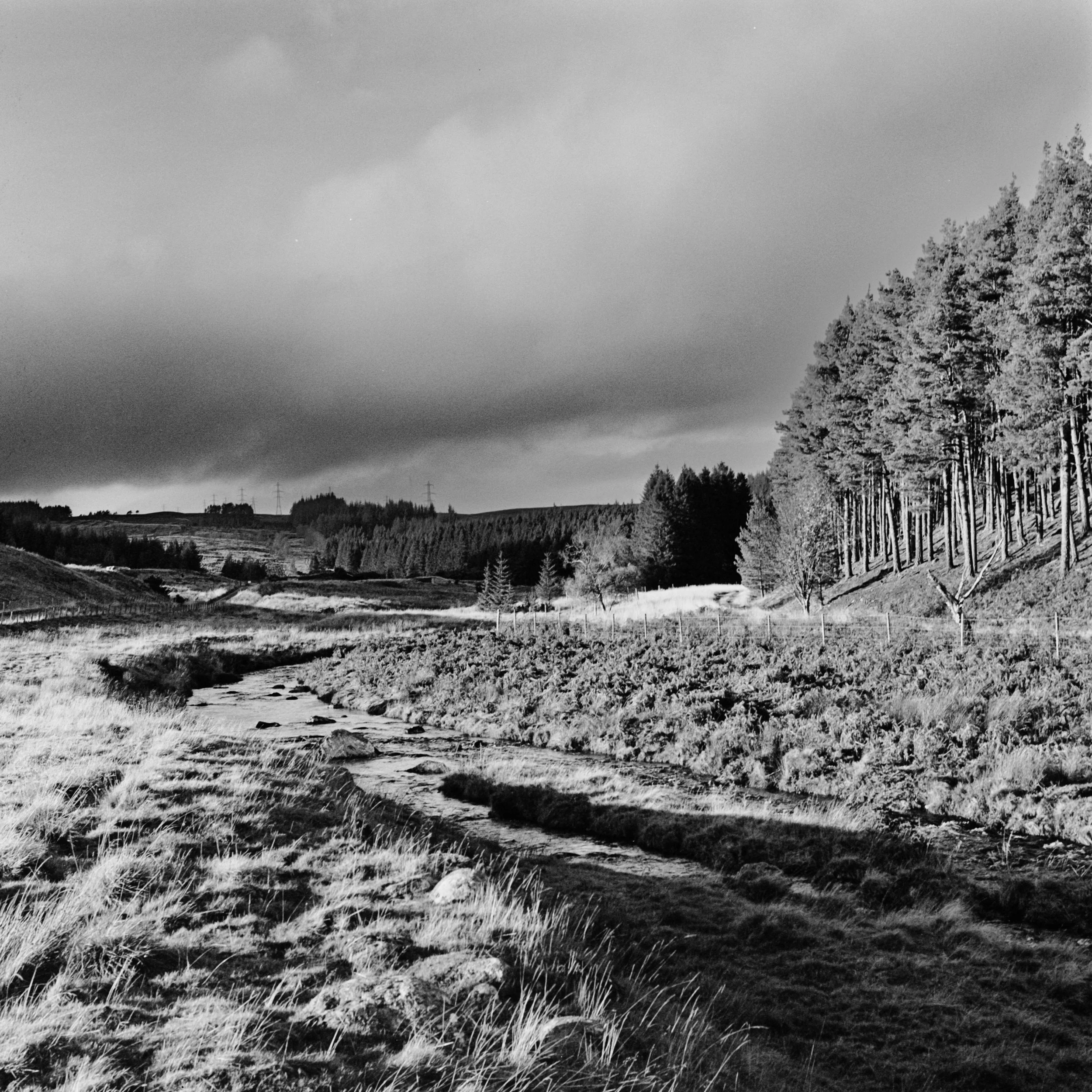 120 - Selects -51.jpg