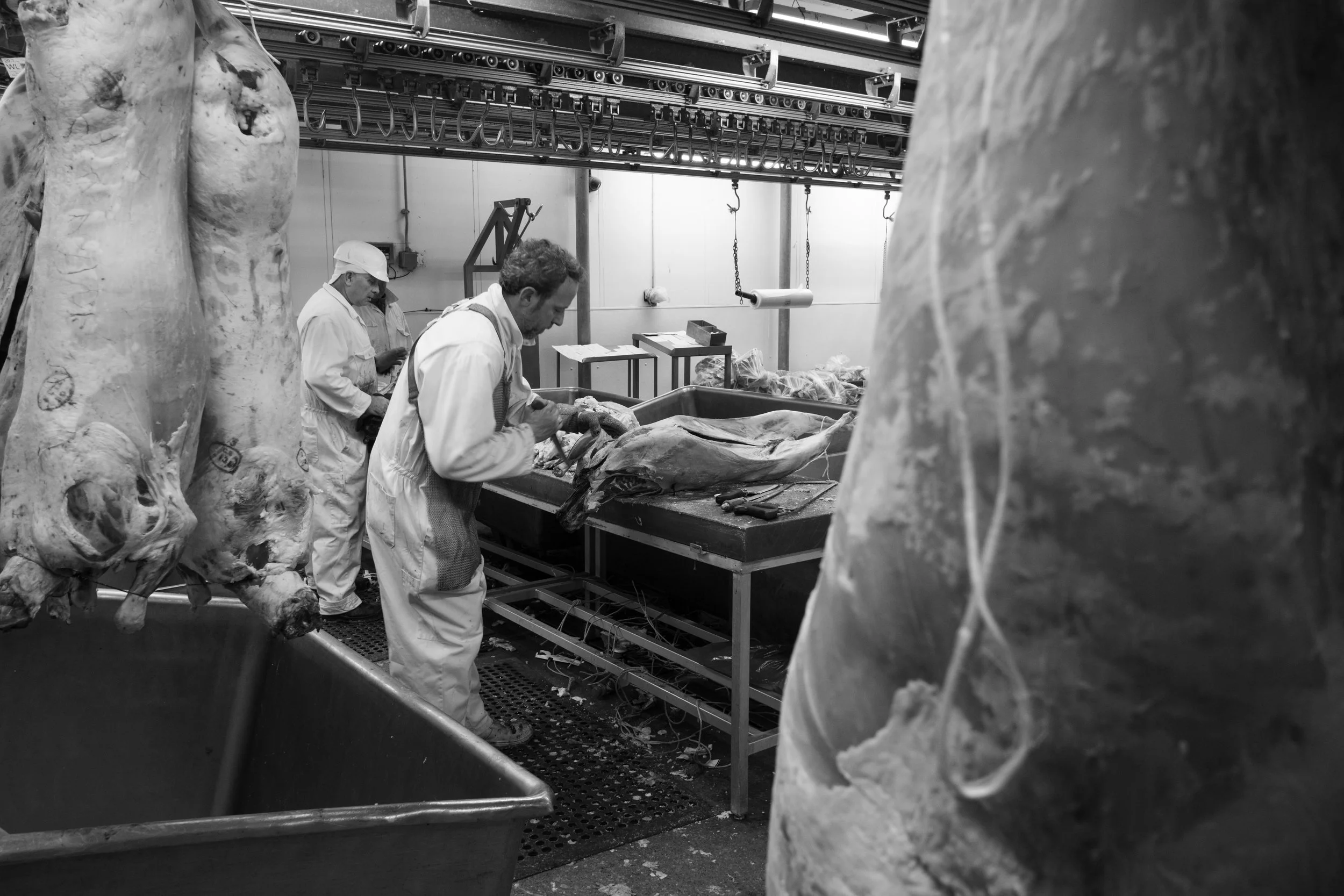 Smithfield - 11-25-22.jpg