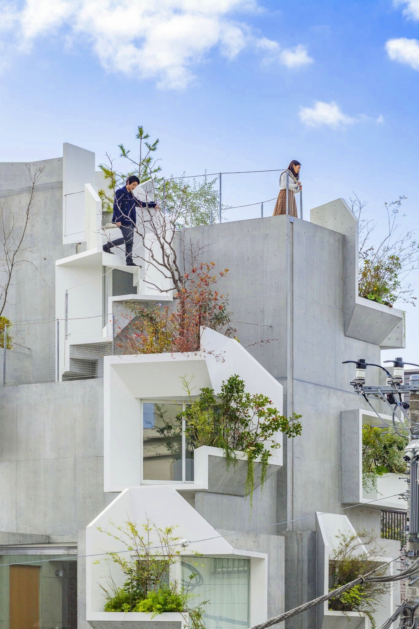 Akihisa Hirata - Tree-Ness House - archidaily - Urban landscape, unique architecture, greenery, clear sky, cityscape, concrete, plants, street, wires, buildings, skyscrapers, dense.2