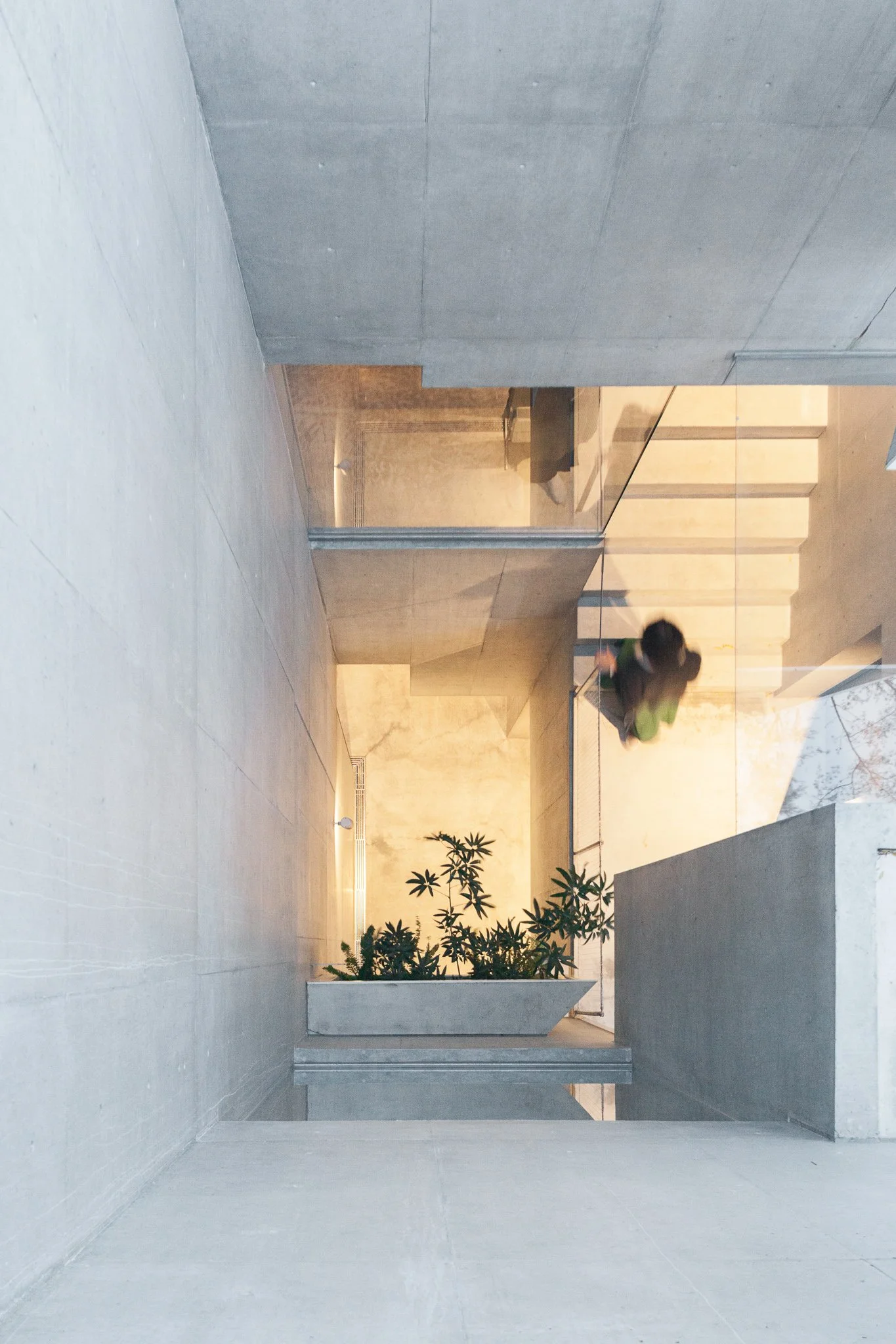 Akihisa Hirata - Treeness House - Atelier Vincent Hecht (12).jpg