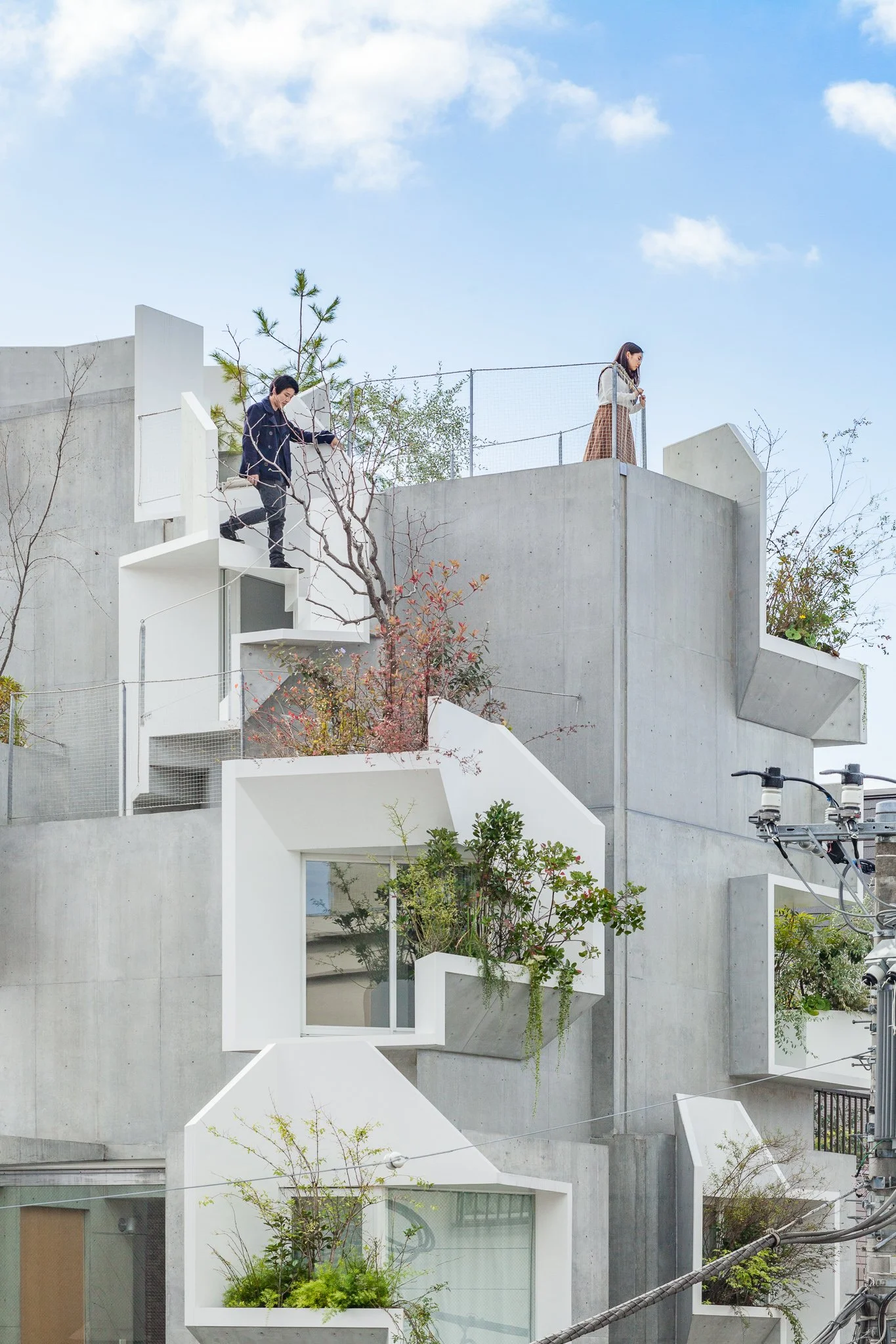 Akihisa Hirata - Treeness House - Atelier Vincent Hecht (17).jpg
