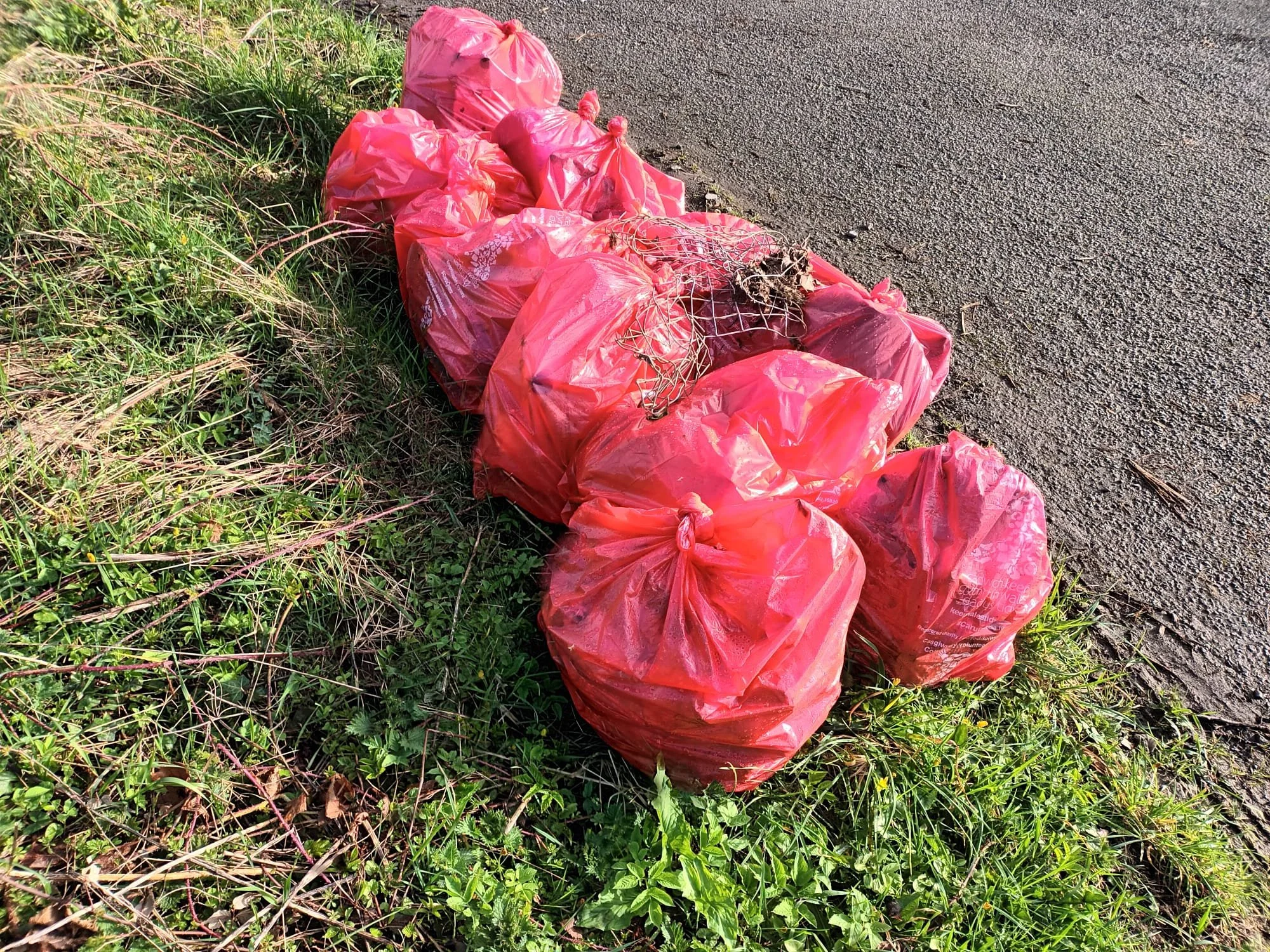LITTER PICK CLOSE TO THE NEST