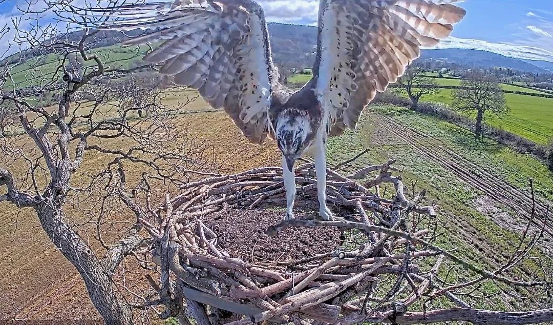 Rest, Refresh, Refuel &amp; Rebuild