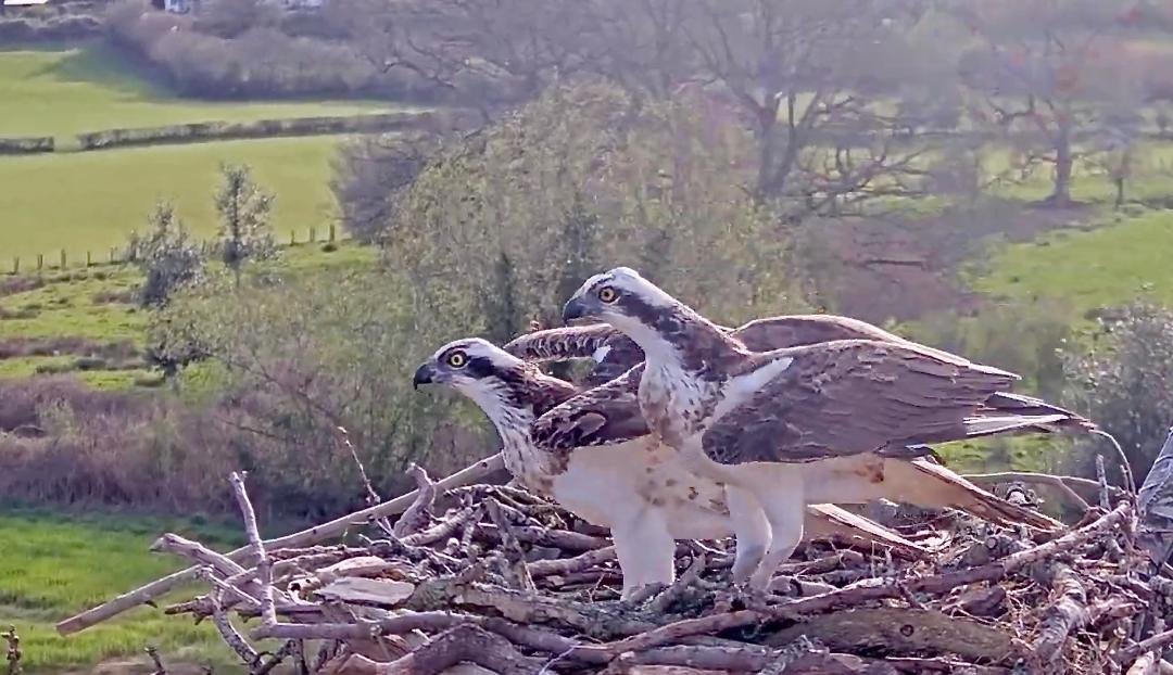 Reunited and Re-bonding