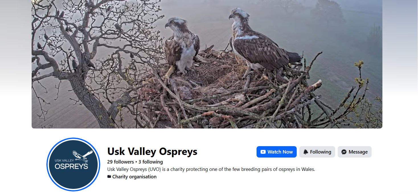 UVO social media pages take flight