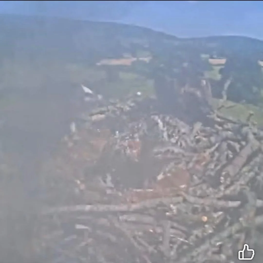 blog June 29 chick covers cup cam blurred.jpeg