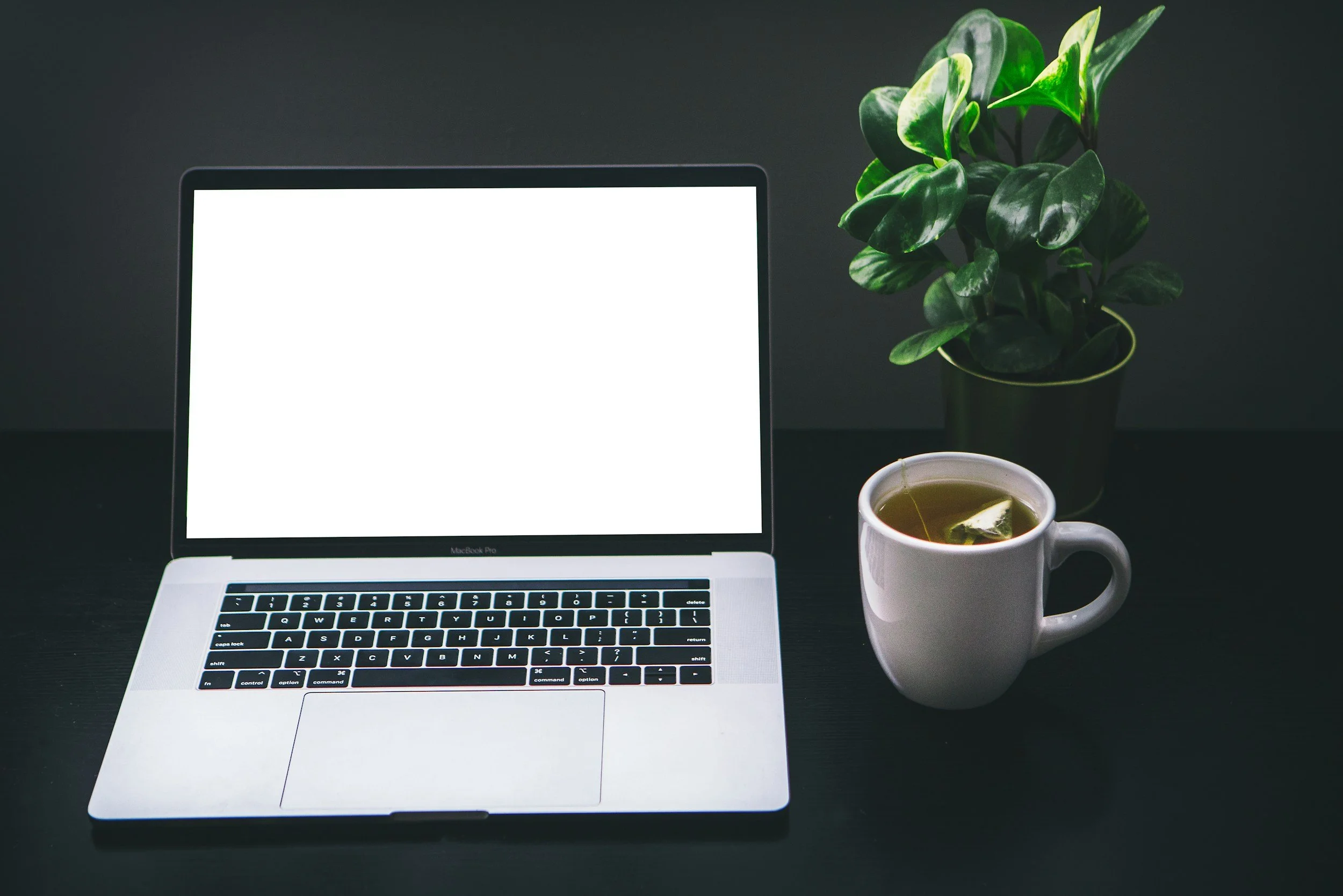 10 Productivity Hacks for Using Mindbody Customer Management Software