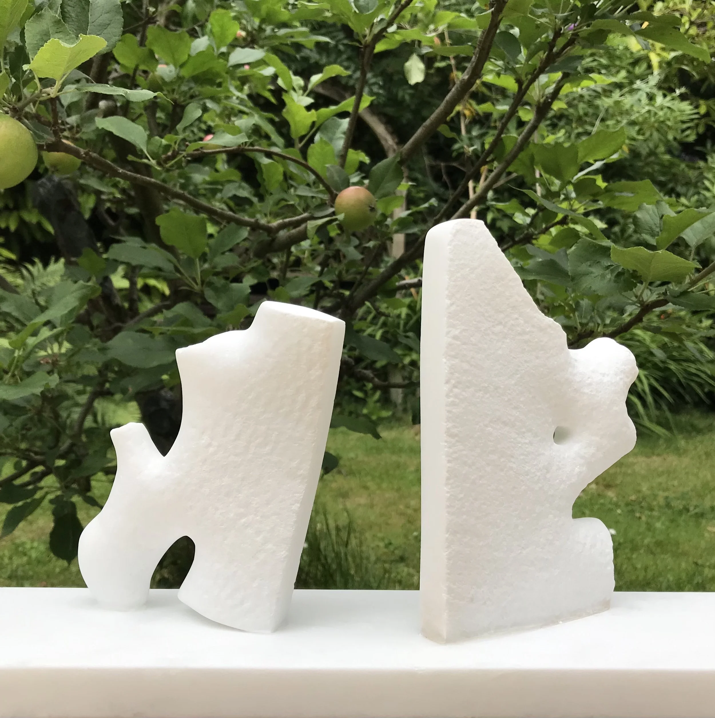 Fragments of the Forest