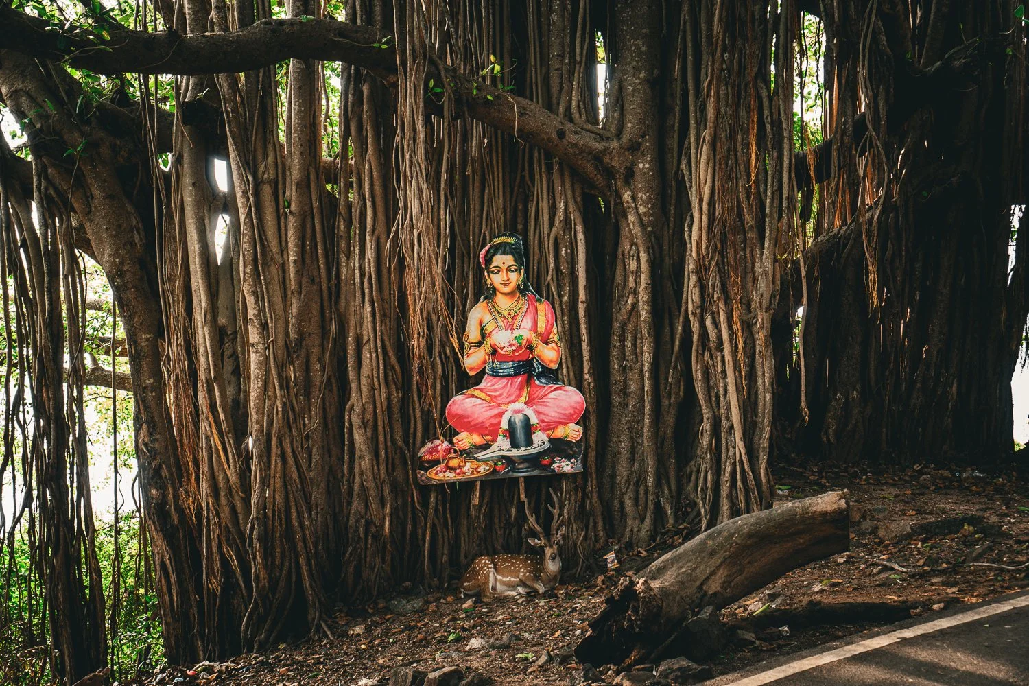 #6 Pray my deer, Thirukoneswaram Hindu Temple, Trincomalee (Copy) (Copy)