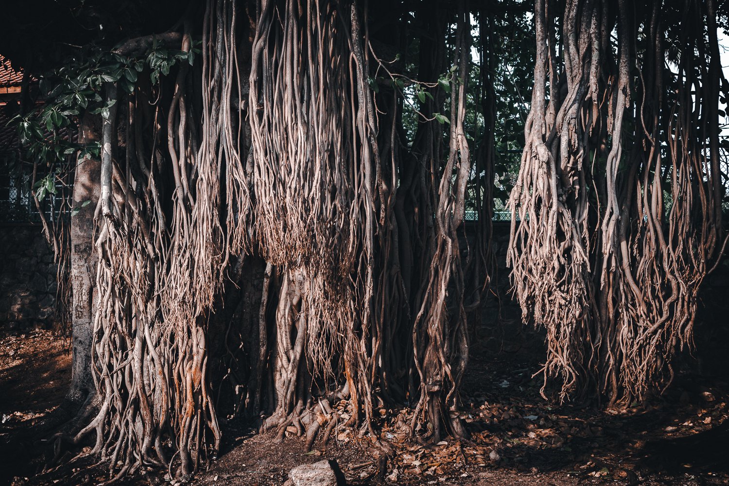 #3 Hangin' Out, Trincomalee (Copy) (Copy)