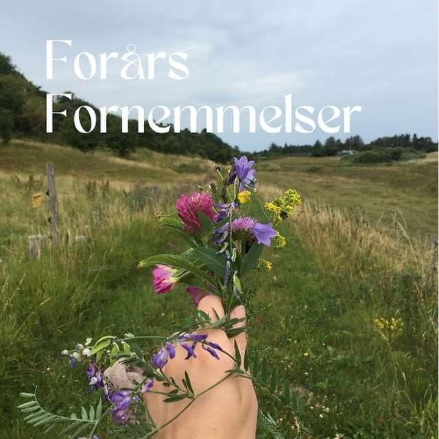 I nyhedsbrevet for Maj deler jeg her til aften lidt for&aring;rsfornemmelser🍀

F&aring; en smagspr&oslash;ve herunder 👇🏻

I aften, natten mellem d. 30. April og 1. Maj, er det Majfest (Valborgaften). 

Majfest er oprindeligt en keltisk h&oslash;jt