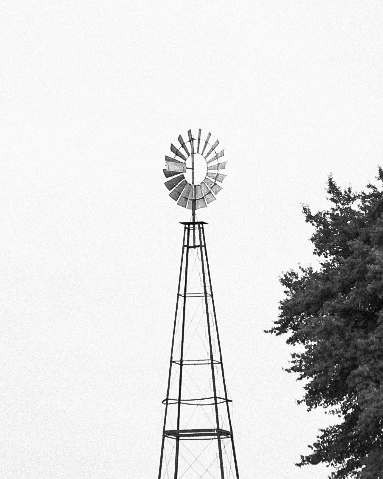 Enrique Mattiacci-  - 042.jpg