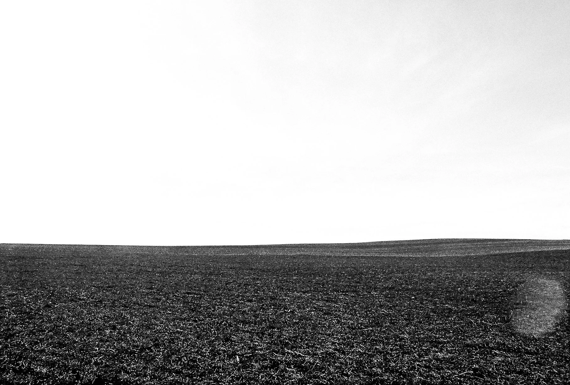 Enrique Mattiacci-  - 010.jpg