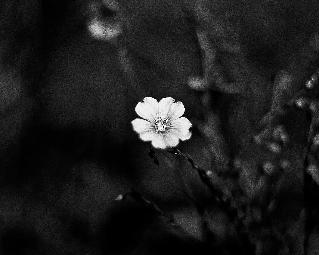 enriquemattiacci-19.jpg