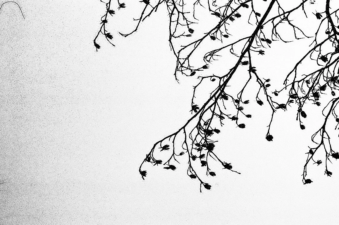 Enrique Mattiacci-  - 007.jpg