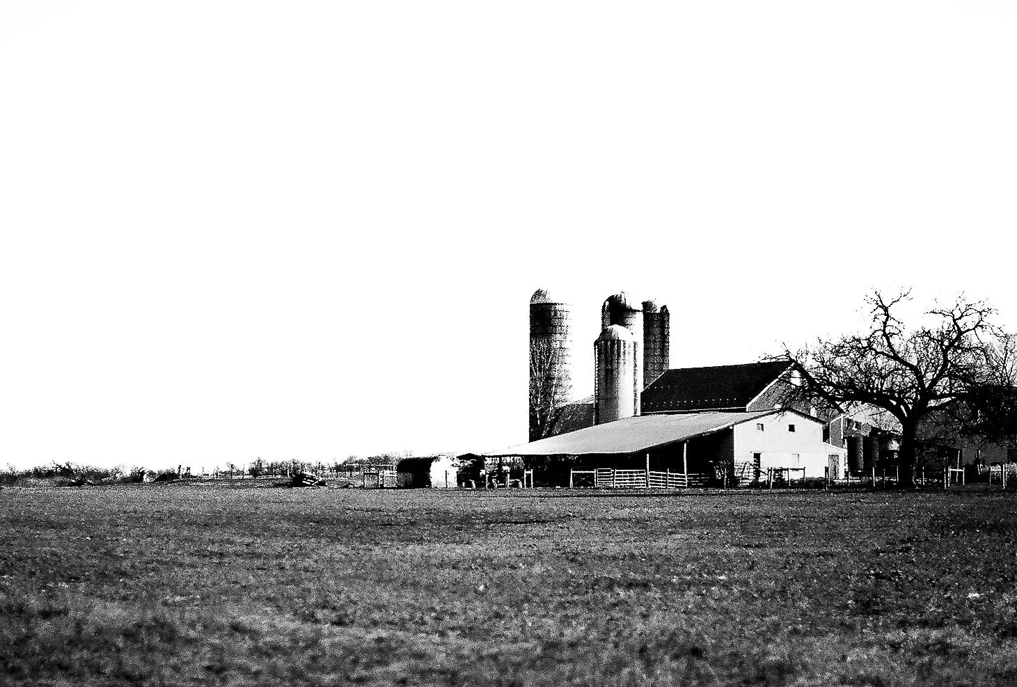 Enrique Mattiacci-  - 015.jpg