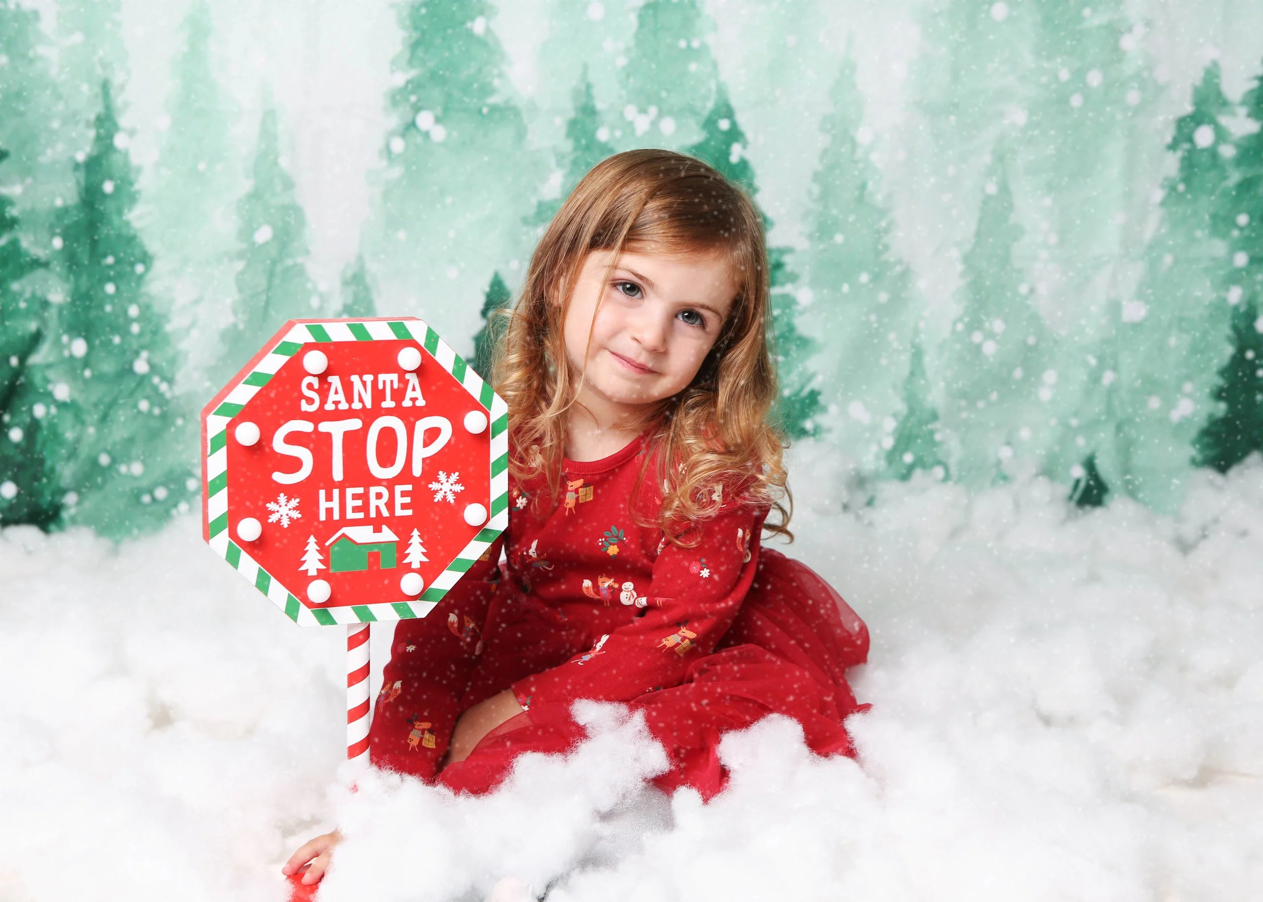 Christmas promo-29 snow.jpg