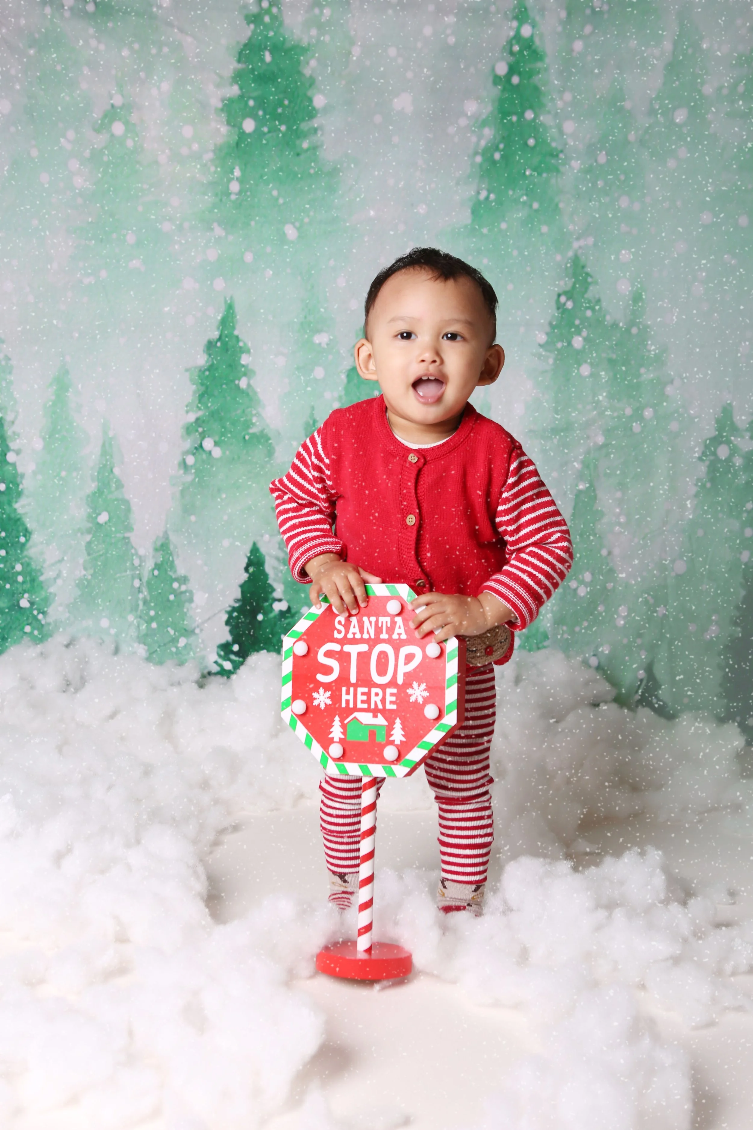 Sabrina - Xmas mini-16 version 2.jpg