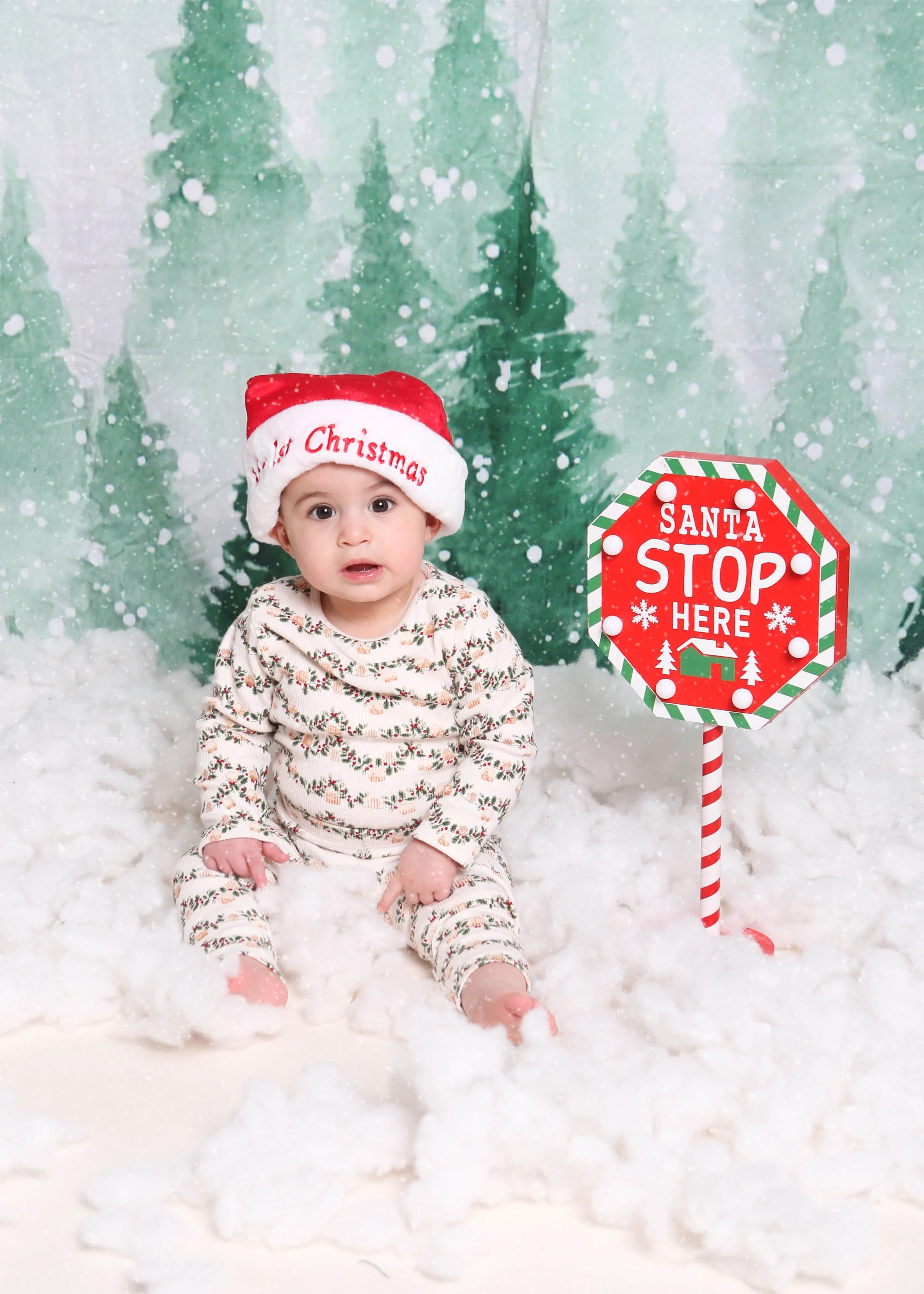Ersi - Christmas mini-8.jpg