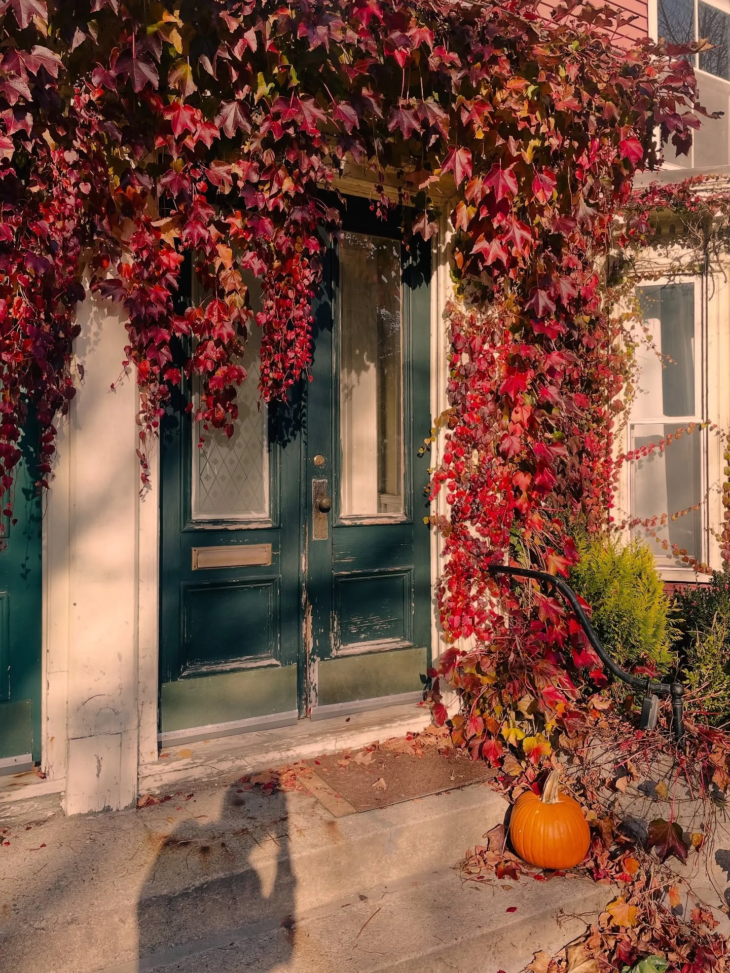 It's starting to feel like autumn in Portland 🙂&zwj;↕️🍁 a few throwback pics of my favorite season &hearts;️