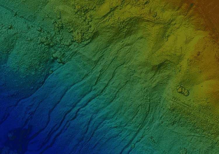 Digital Surface Modelling — teamuav