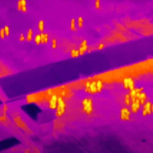 Border Surveillance — teamuav