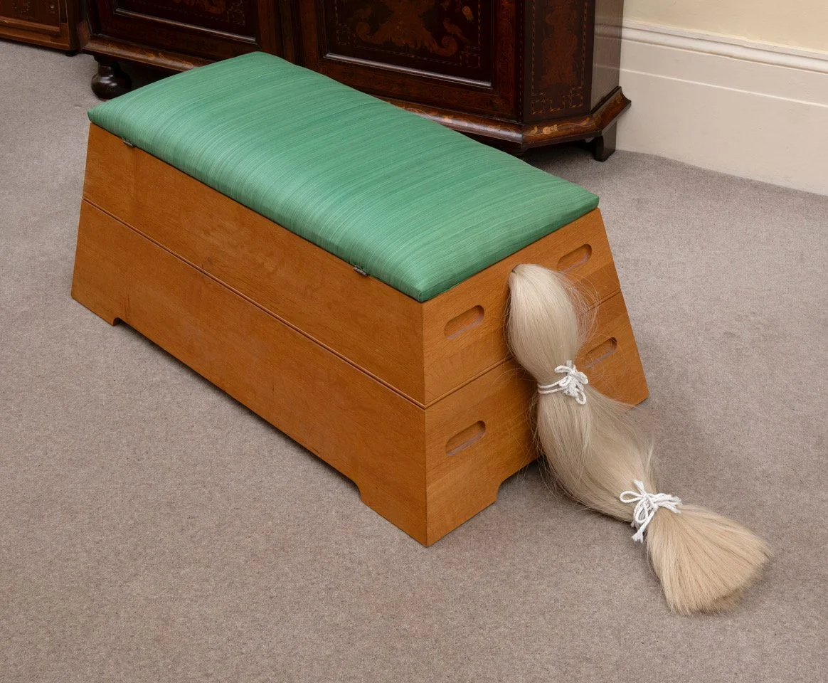 horse closed 4_4 view.jpeg