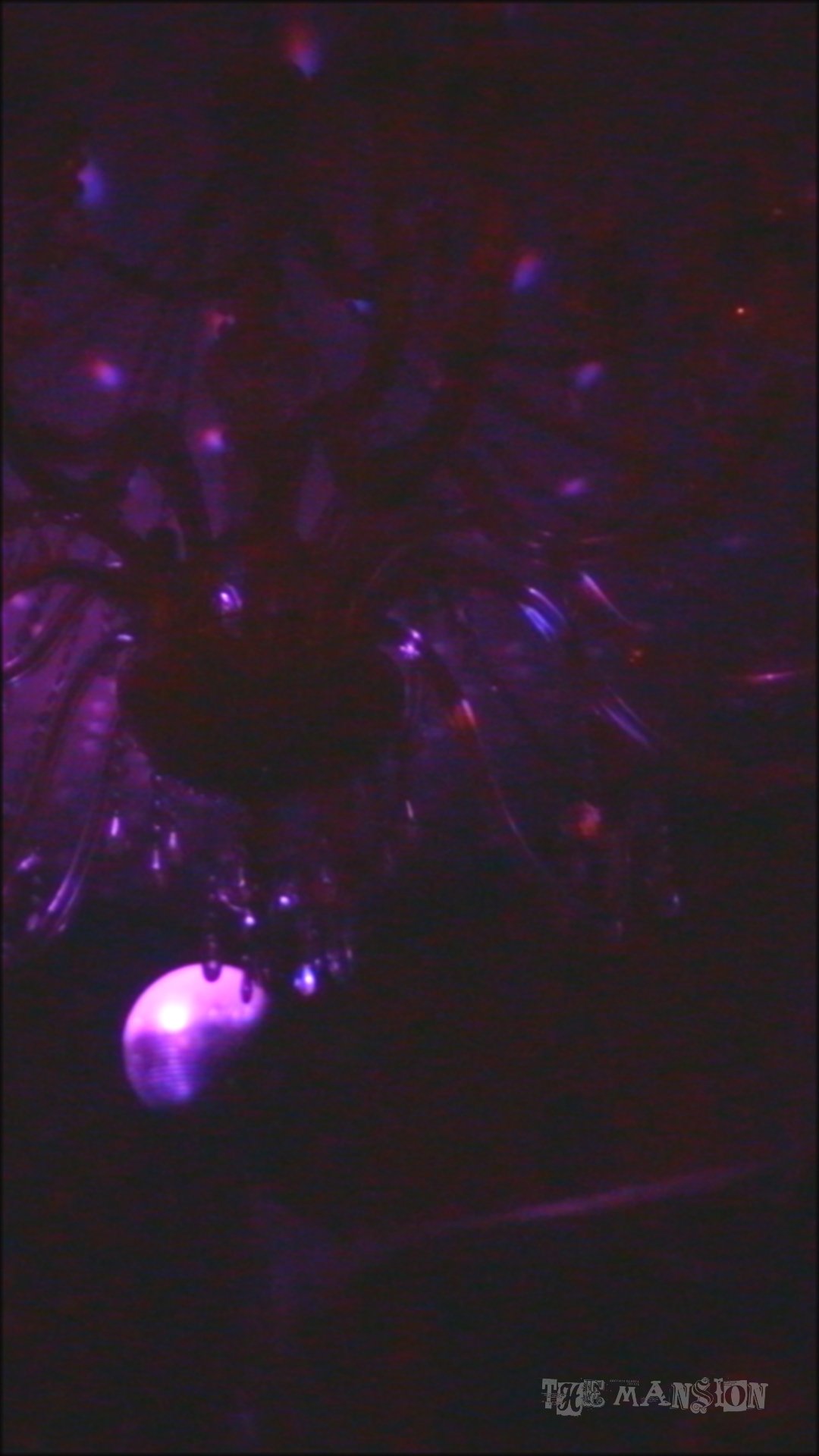 Screengrabs Port_5.1.6.jpg