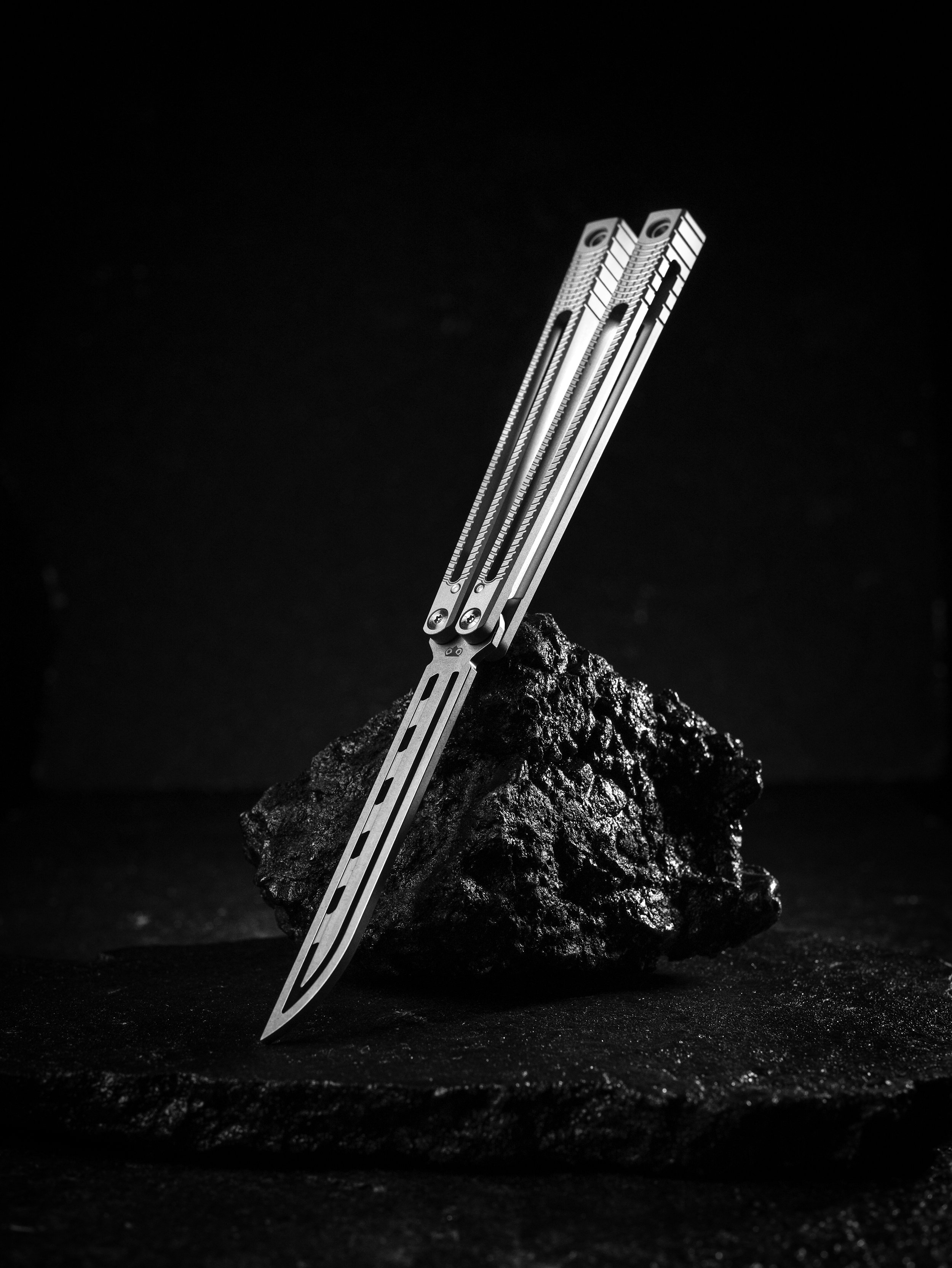 TRaphus01.jpg