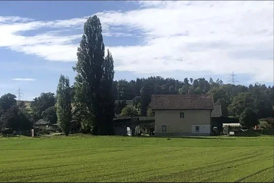 Ländliche Landschaft mit grünem Feld, einem Haus, und mehreren Bäumen unter einem bewölkten Himmel.