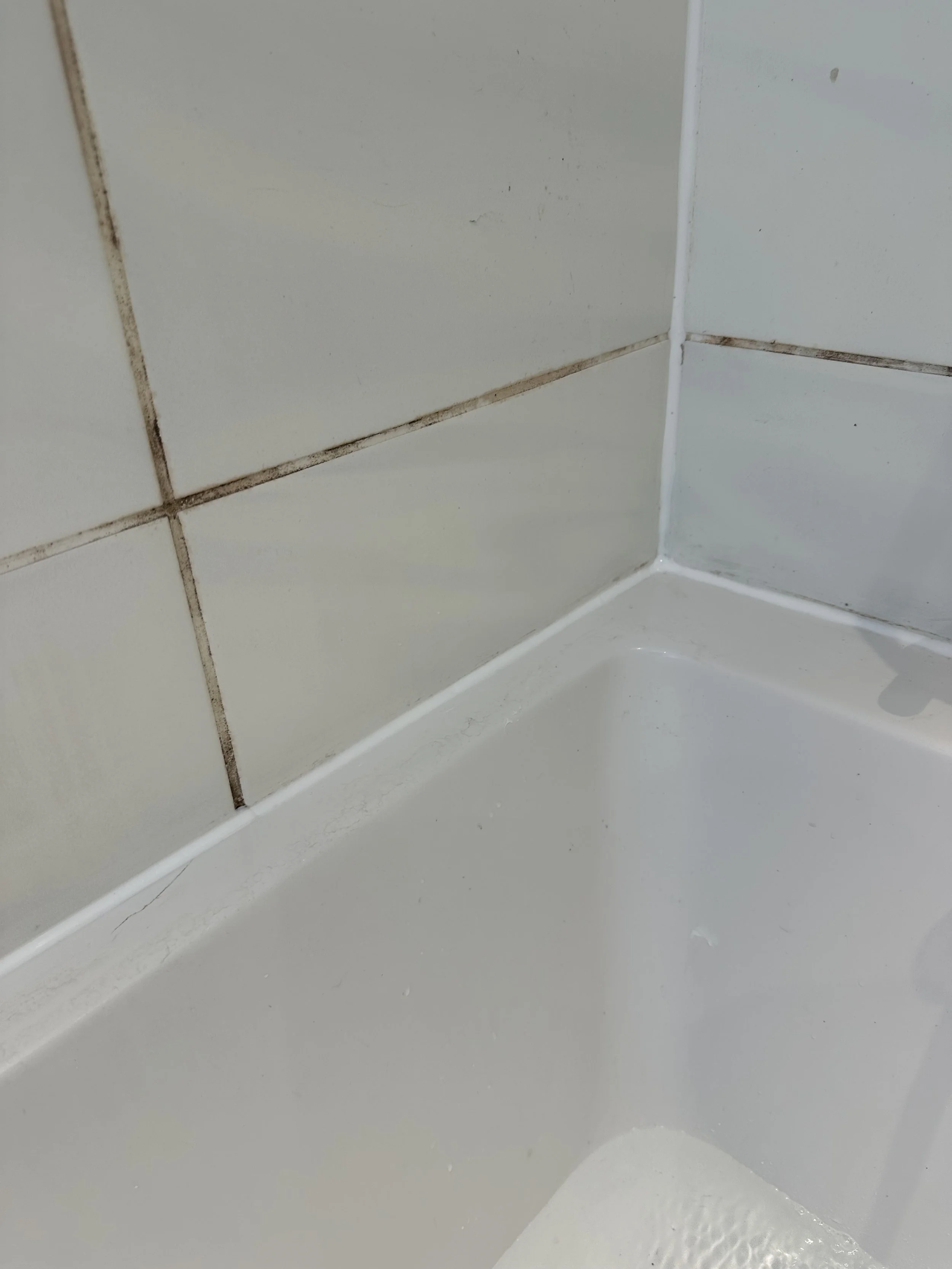 IMG_0054.jpeg